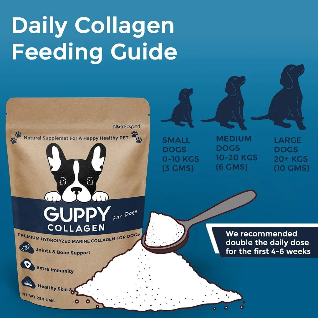 پودر کلاژن دریایی هیدرولیز شده برای سگ ها، برای سلامت استخوان و مفاصل، سلامت پوست و پوشش، سیستم گوارشی، غیر GMO، بدون گلوتن، بدون سویا - 250 گرم پودر کلاژن دریایی هیدرولیز شده برای سگ ها، برای سلامت استخوان و مفاصل، سلامت پوست و پوشش، سیستم گوارشی، غیر GMO، بدون گلوتن، بدون سویا - 250 گرم