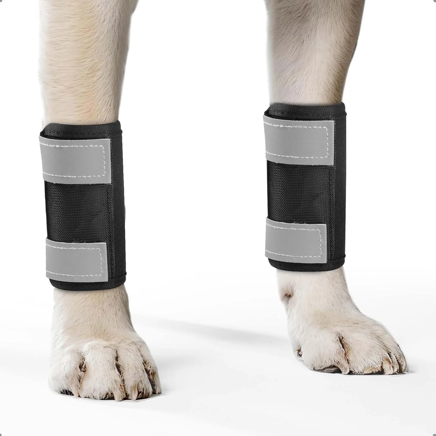 اسپلینت پای جلویی سگ اوهکوزی، 2 عدد، با نوارهای بازتابنده، مچ بند سگ برای لیسیدن، بانداژ سگ برای پانسمان، آسیب دیدگی زخم و بهبود رگ به رگ شدن، M اسپلینت پای جلویی سگ اوهکوزی، 2 عدد، با نوارهای بازتابنده، مچ بند سگ برای لیسیدن، بانداژ سگ برای پانسمان، آسیب دیدگی زخم و بهبود رگ به رگ شدن، M