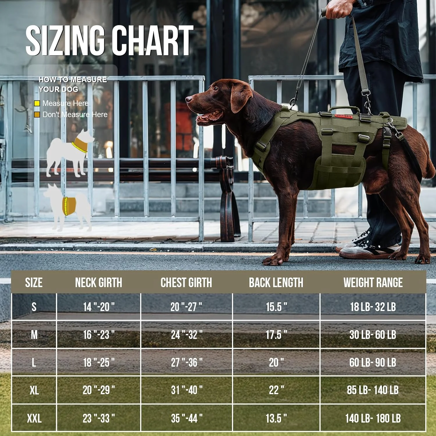 جلیقه بالابر سگ OneTigris برای سگ های بزرگ، بریس پشتیبانی از لگن سگ، بالابر کامل بدن سگ با دستگیره، جلیقه کمک حرکتی چند منظوره Invictus برای پاهای عقب، توانبخشی و بلند کردن حیوانات خانگی