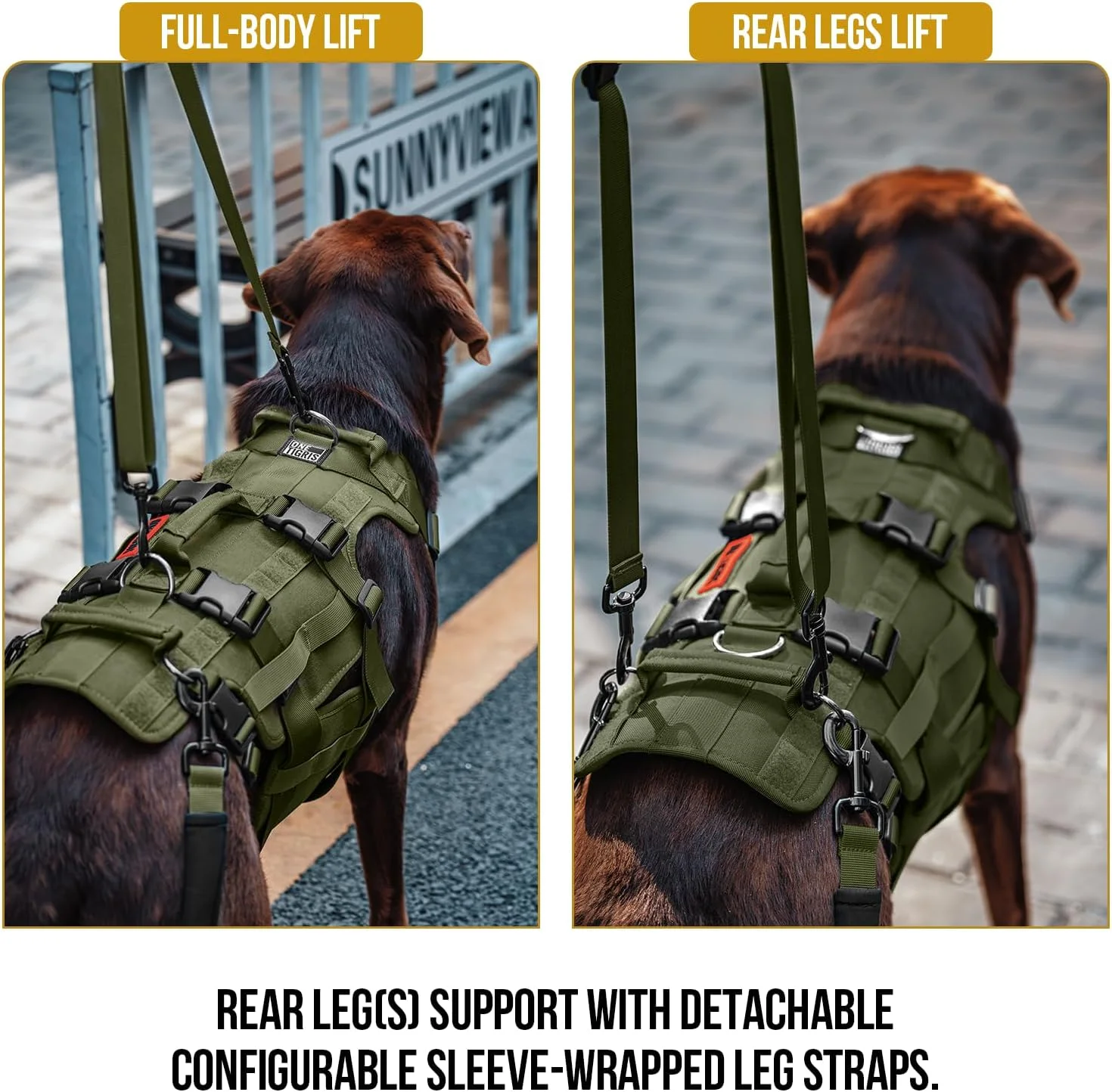 جلیقه بالابر سگ OneTigris برای سگ های بزرگ، بریس پشتیبانی از لگن سگ، بالابر کامل بدن سگ با دستگیره، جلیقه کمک حرکتی چند منظوره Invictus برای پاهای عقب، توانبخشی و بلند کردن حیوانات خانگی