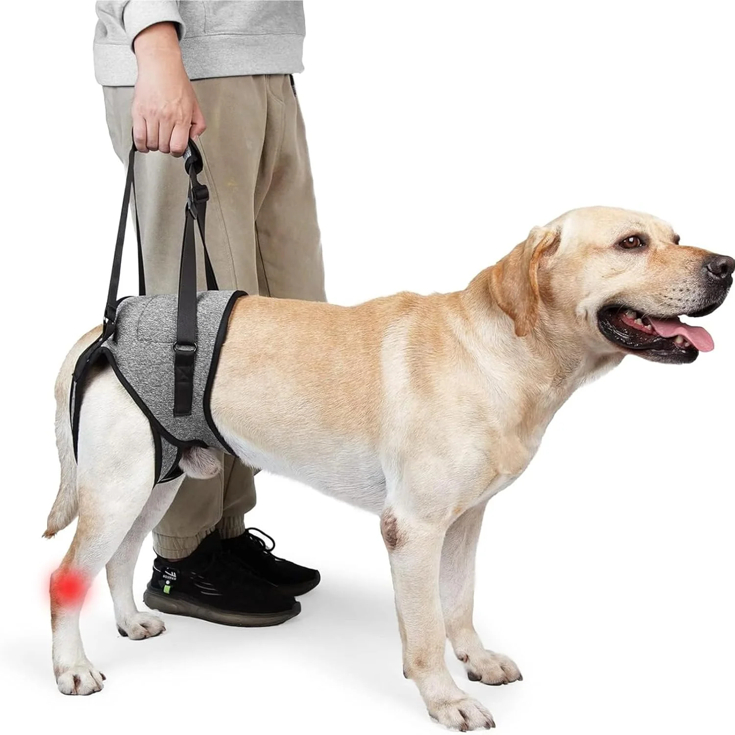 هارنس بالابر سگ، هارنس پشتیبانی سگ برای پاهای عقب، پشتیبانی قابل تنظیم پای سگ با دسته بالابر، اسلینگ قابل حمل سگ برای سگ های متوسط، سگ های مسن و آسیب دیده