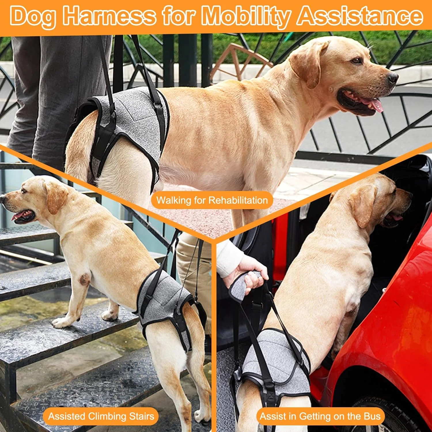 هارنس بالابر سگ، هارنس پشتیبانی سگ برای پاهای عقب، پشتیبانی قابل تنظیم پای سگ با دسته بالابر، اسلینگ قابل حمل سگ برای سگ های متوسط، سگ های مسن و آسیب دیده