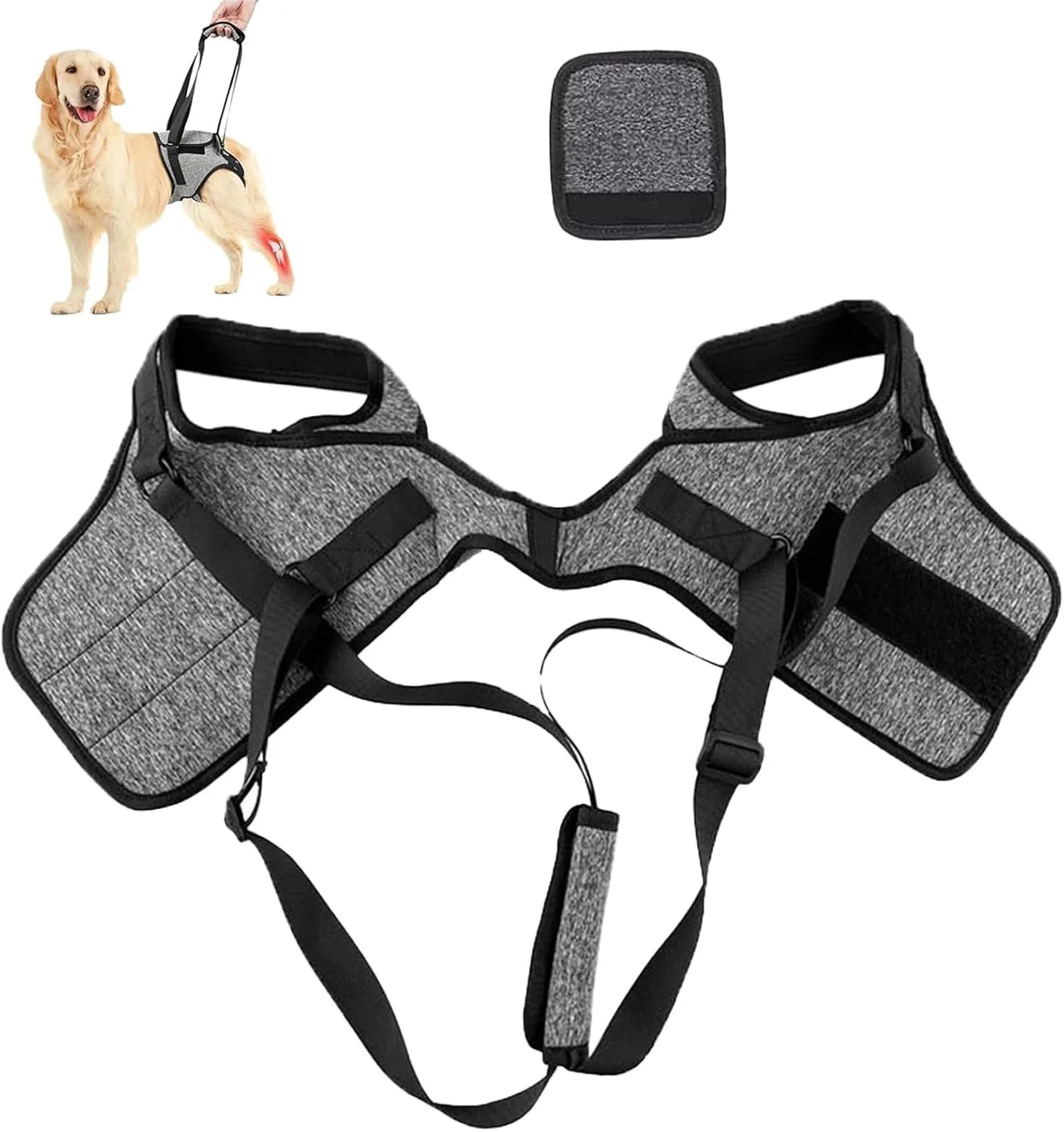 اسلینگ کمکی سگ برای پاهای عقب، مناسب سگ های کوچک، متوسط و بزرگ، اسلینگ قابل تنظیم برای حمایت از پاهای عقب سگ های آسیب دیده، ناتوان و مسن، سایز بزرگ (L) اسلینگ کمکی سگ برای پاهای عقب، مناسب سگ های کوچک، متوسط و بزرگ، اسلینگ قابل تنظیم برای حمایت از پاهای عقب سگ های آسیب دیده، ناتوان و مسن، سایز بزرگ (L)