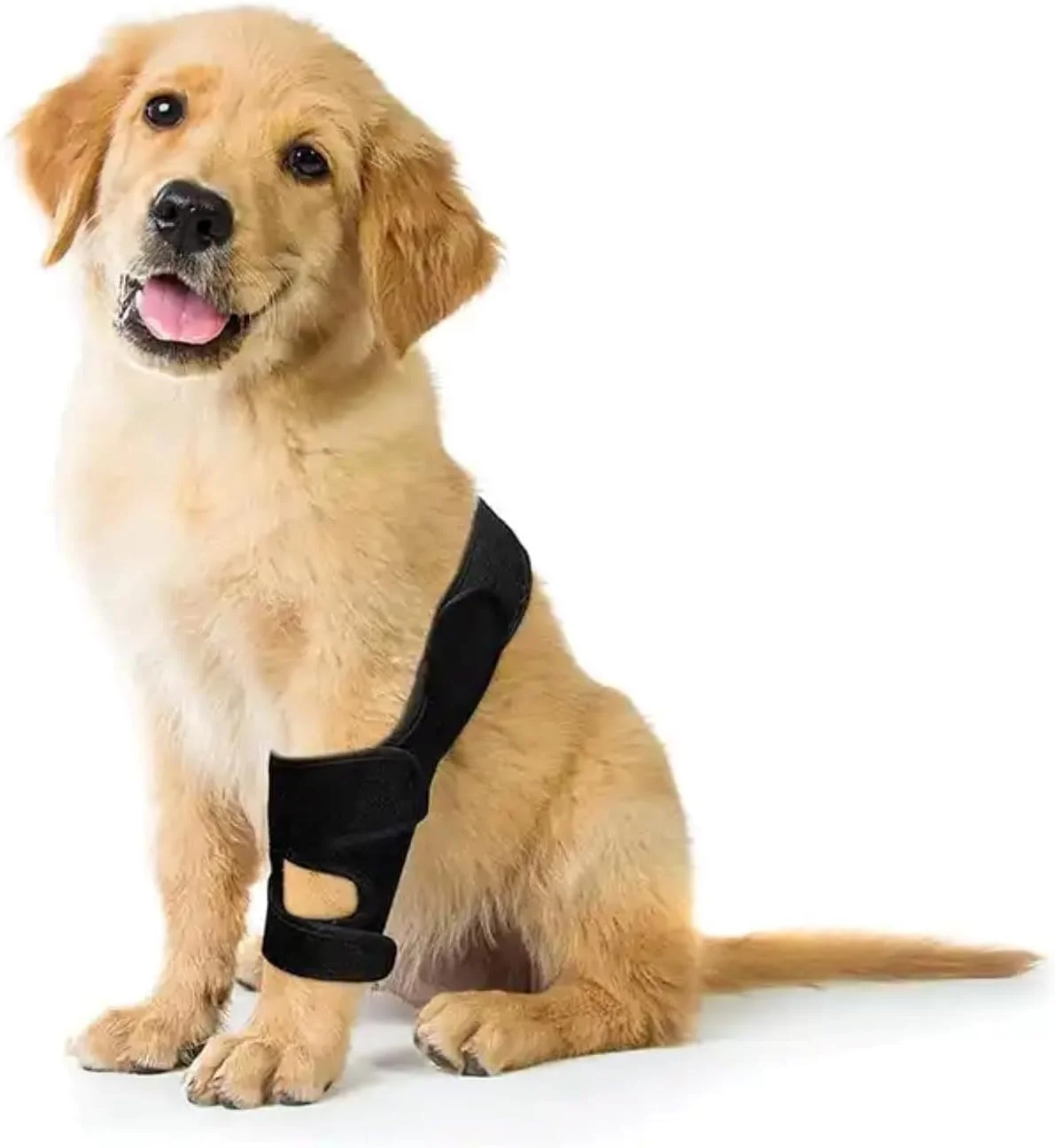 بانداژ مفصلی سگ برای پاهای جلویی و عقبی، محافظت در برابر نشت و پشتیبانی بعد از جراحی، کمک به بی ثباتی مفصل (S)