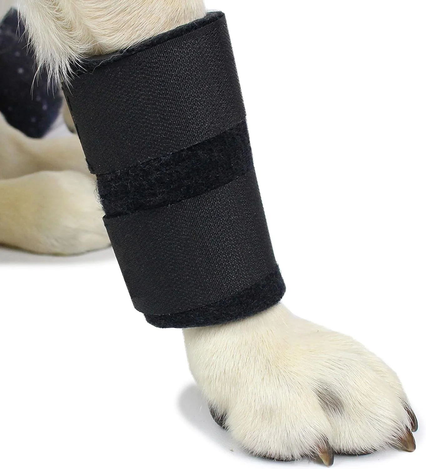 مچ بند حمایتی سگ | حمایت از مفصل مچ دست برای سگ ها | کمک به آرتروز سگ سانان