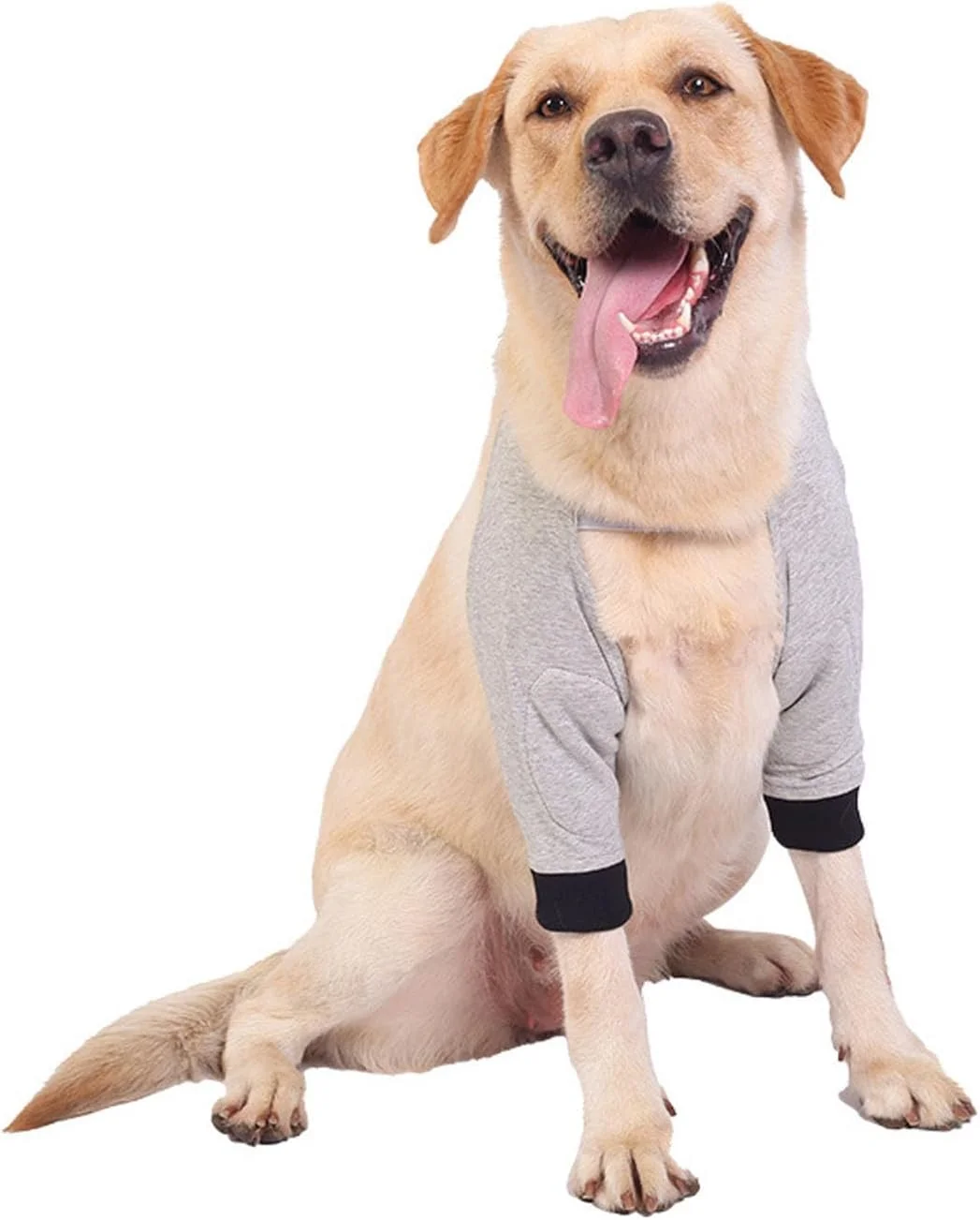 آستین ریکاوری سگ Wohlstand، پدهای آرنج سگ، کاف پنجه جلویی سگ، پدهای آرنج الاستیک سگ، ریکاوری پای جلویی قابل تنظیم سگ (L)