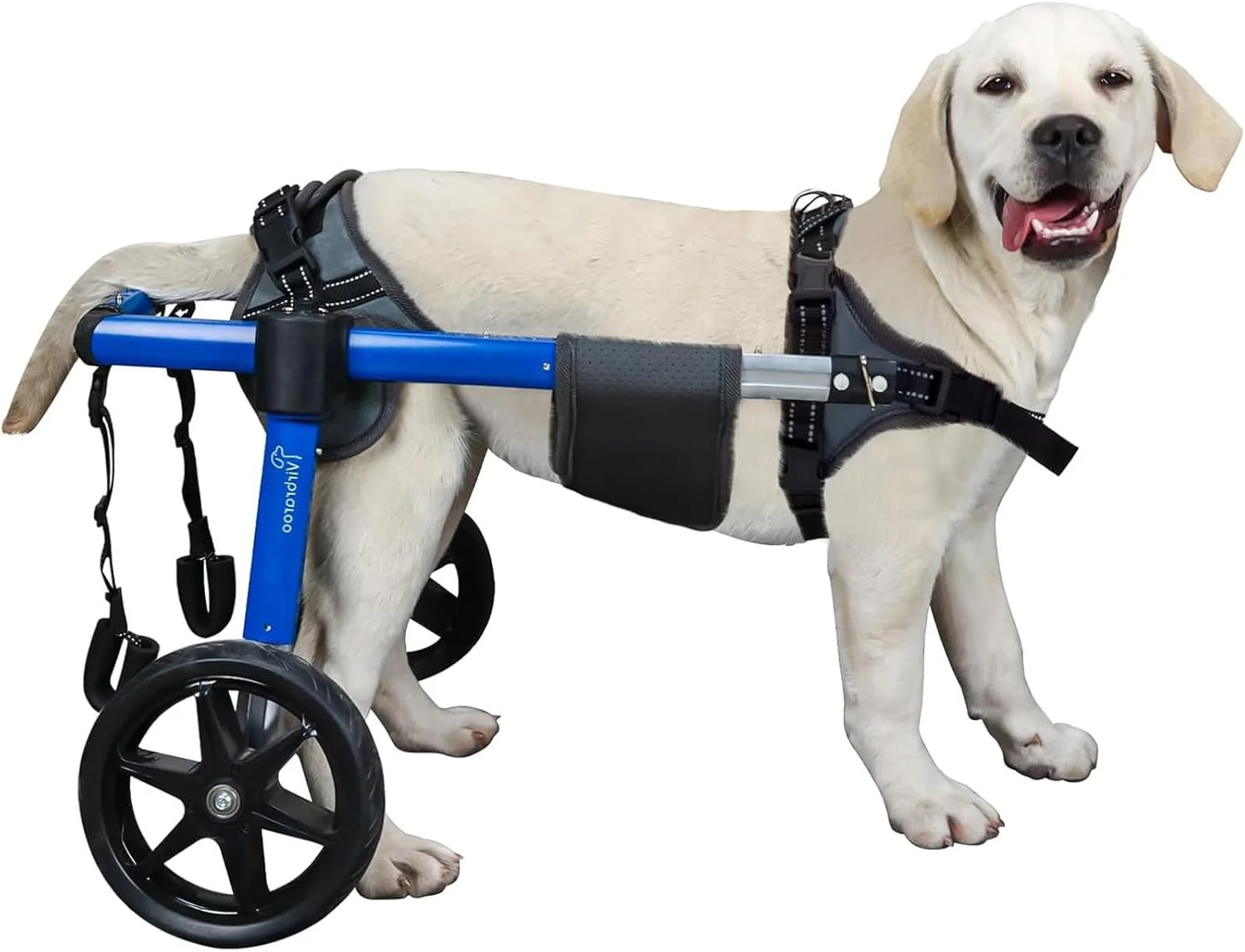 ویلچر سگ برای پاهای عقب با لاستیک های ارتقا یافته مناسب تمام سطوح و بلبرینگ های بادوام، ویلچر سگ قابل تنظیم برای ۱۱.۸ تا ۱۷.۷ اینچ، ۱۵ تا ۲۲ کیلوگرم، مناسب سگ های معلول یا آسیب دیده متوسط/بزرگ ویلچر سگ برای پاهای عقب با لاستیک های ارتقا یافته مناسب تمام سطوح و بلبرینگ های بادوام، ویلچر سگ قابل تنظیم برای ۱۱.۸ تا ۱۷.۷ اینچ، ۱۵ تا ۲۲ کیلوگرم، مناسب سگ های معلول یا آسیب دیده متوسط/بزرگ