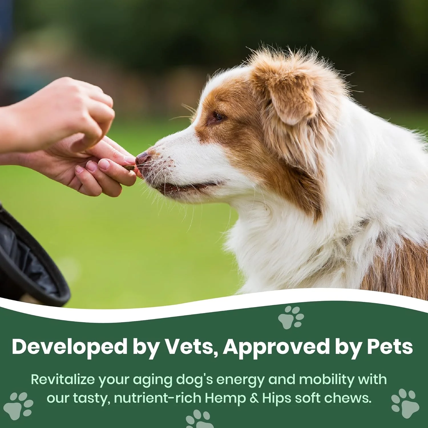 مکمل مفاصل سگ با شاهدانه و HIPS Veterinary Naturals - 60 عدد تشویقی نرم برای تقویت مفاصل و لگن سگ حاوی گلوکزامین، MSM و زردچوبه (طعم مرغ بریان)