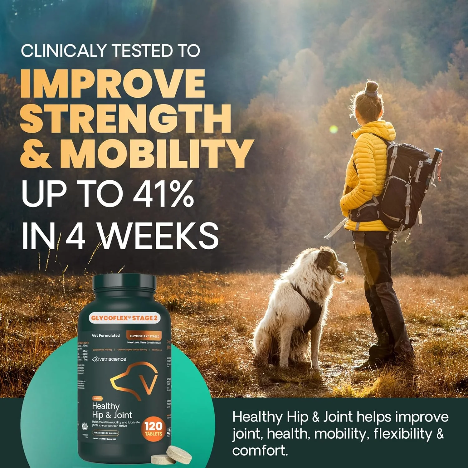 آزمایشگاه های VetriScience - GlycoFlex 2، مکمل مفصل و لگن