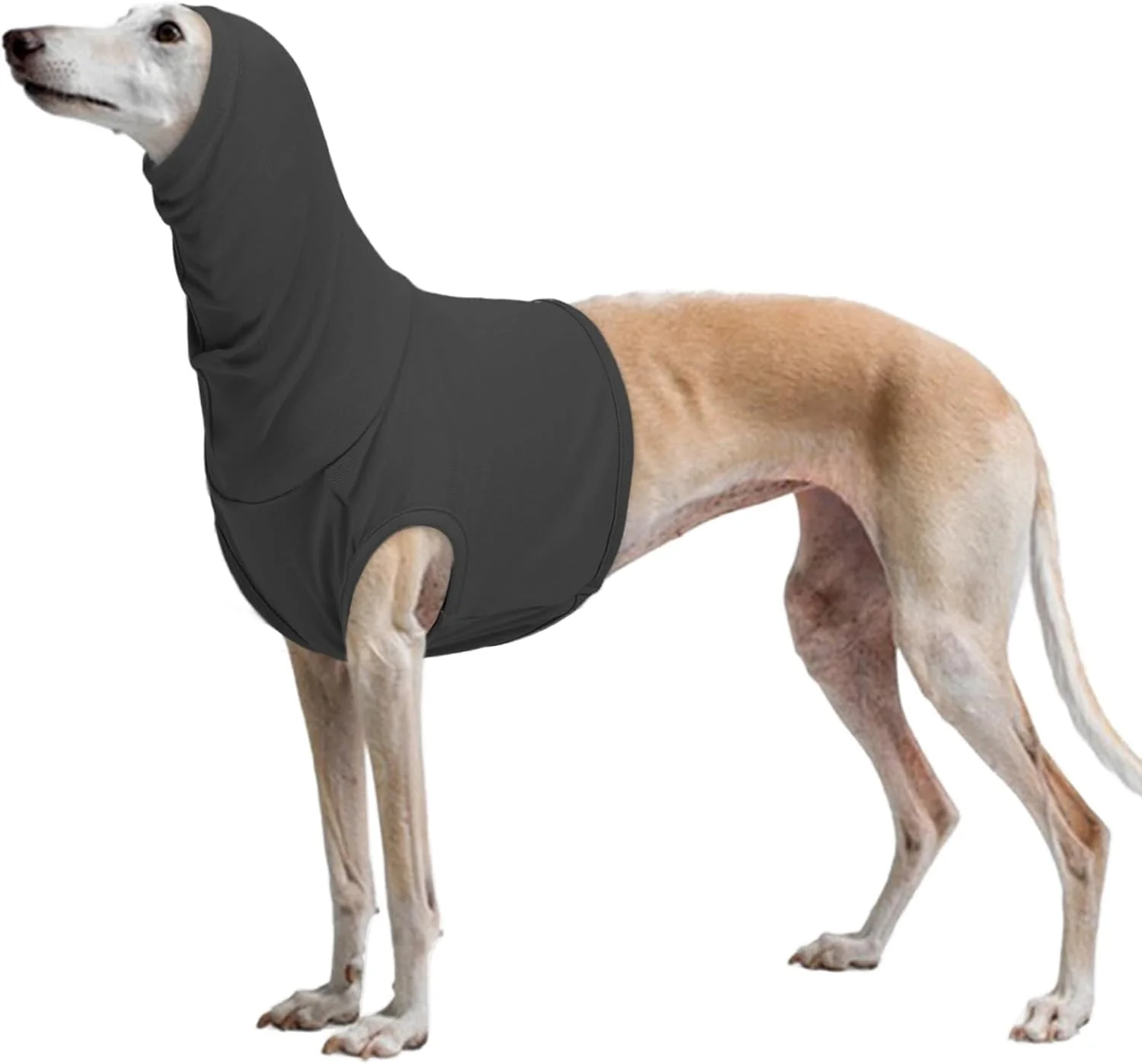 پوشش زخم گردن سگ PUMYPOREITY، محافظ زخم گردن سگ، باندانا تنفسی برای پوشاندن گوش ها، اسنود برای اسپانیل ها (خاکستری، XL)