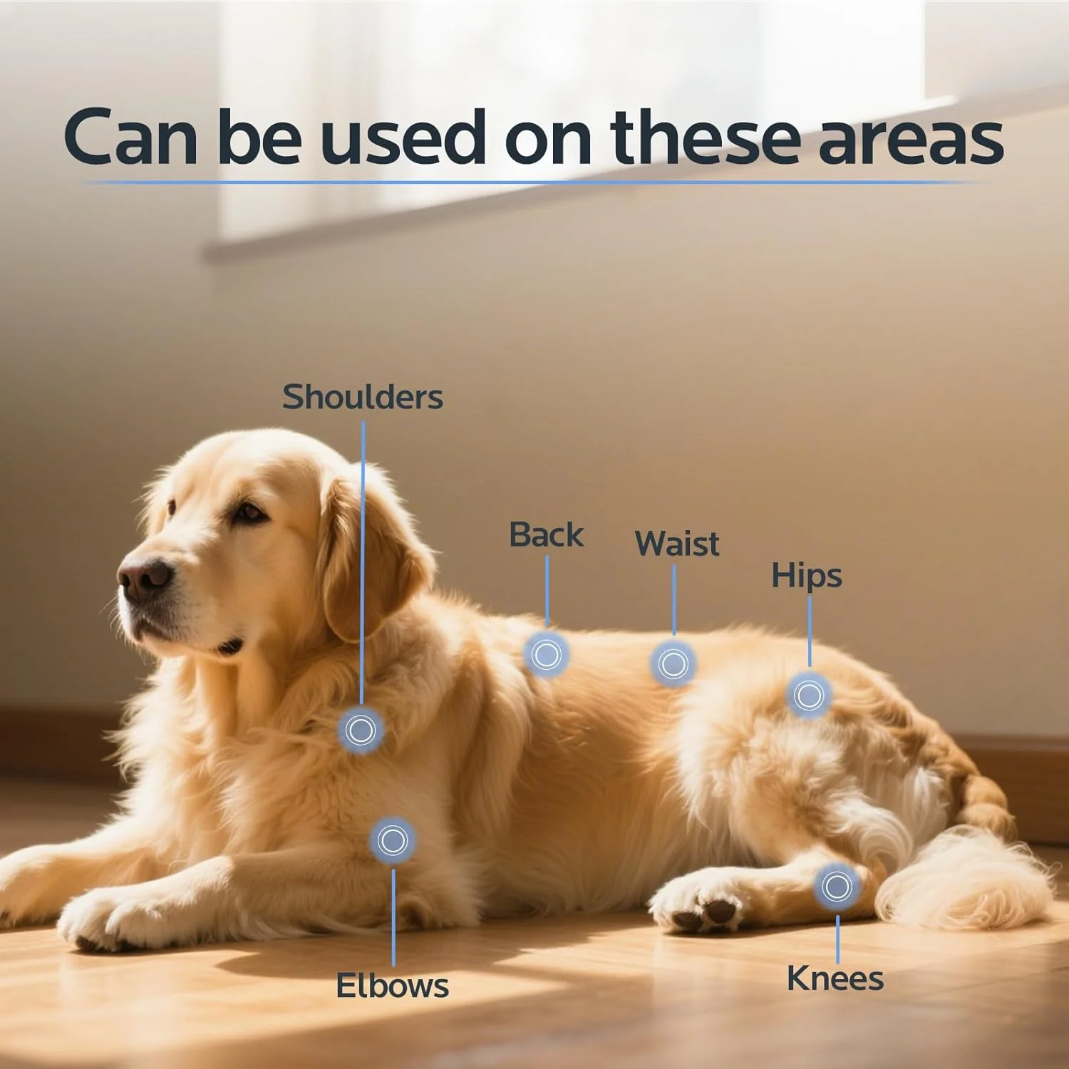 کمربند نور قرمز درمانی برای حیوانات خانگی، دستگاه نور قرمز درمانی قابل حمل برای سگ ها، دستگاه نور قرمز درمانی پوشیدنی، تسکین درد و بهبود زخم