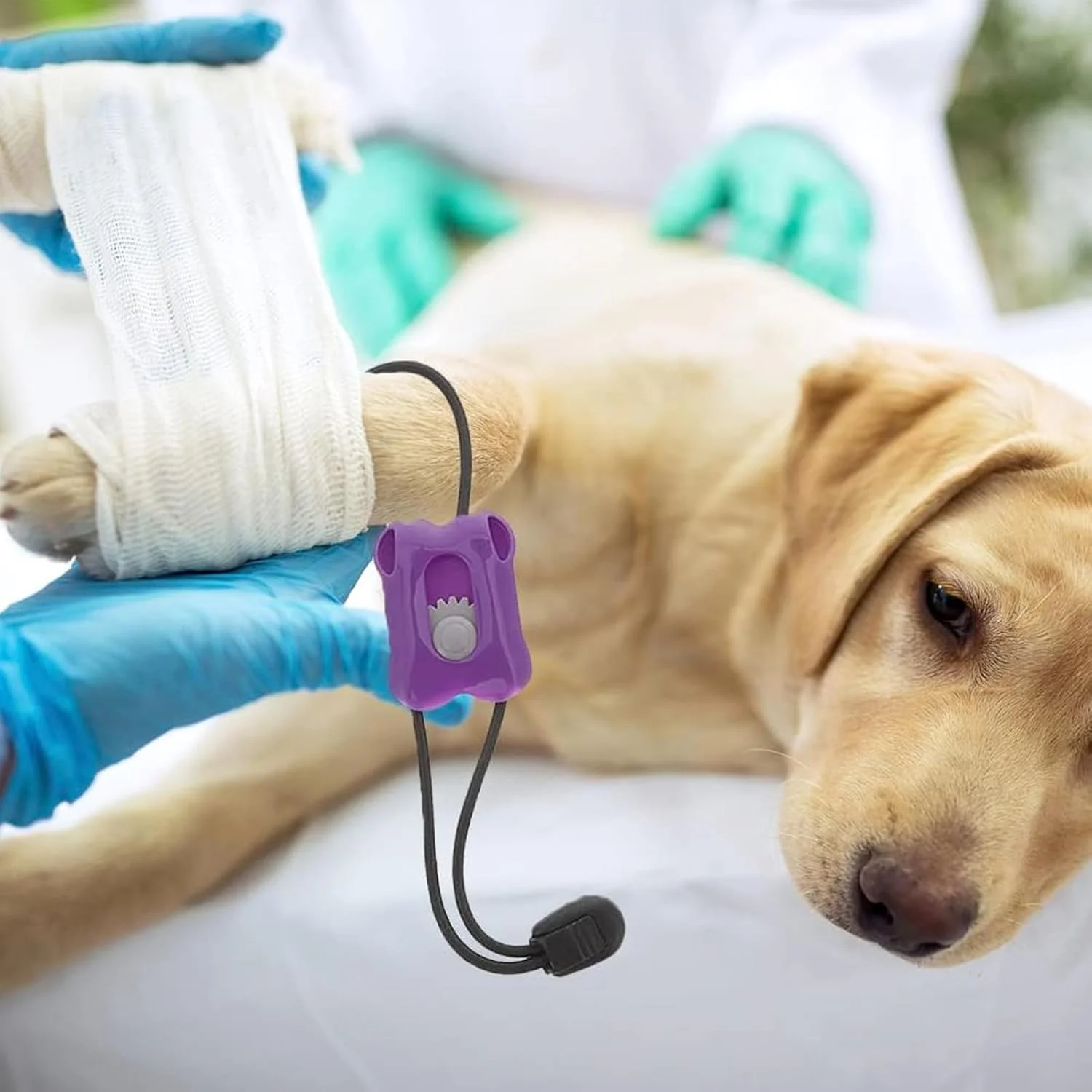 بانداژ زخم حیوانات خانگی - ابزار کنترل خونریزی فوری قابل حمل برای جراحت و زخم سگ، گربه و حیوانات خانگی در خانه، سفر و دامپزشکی