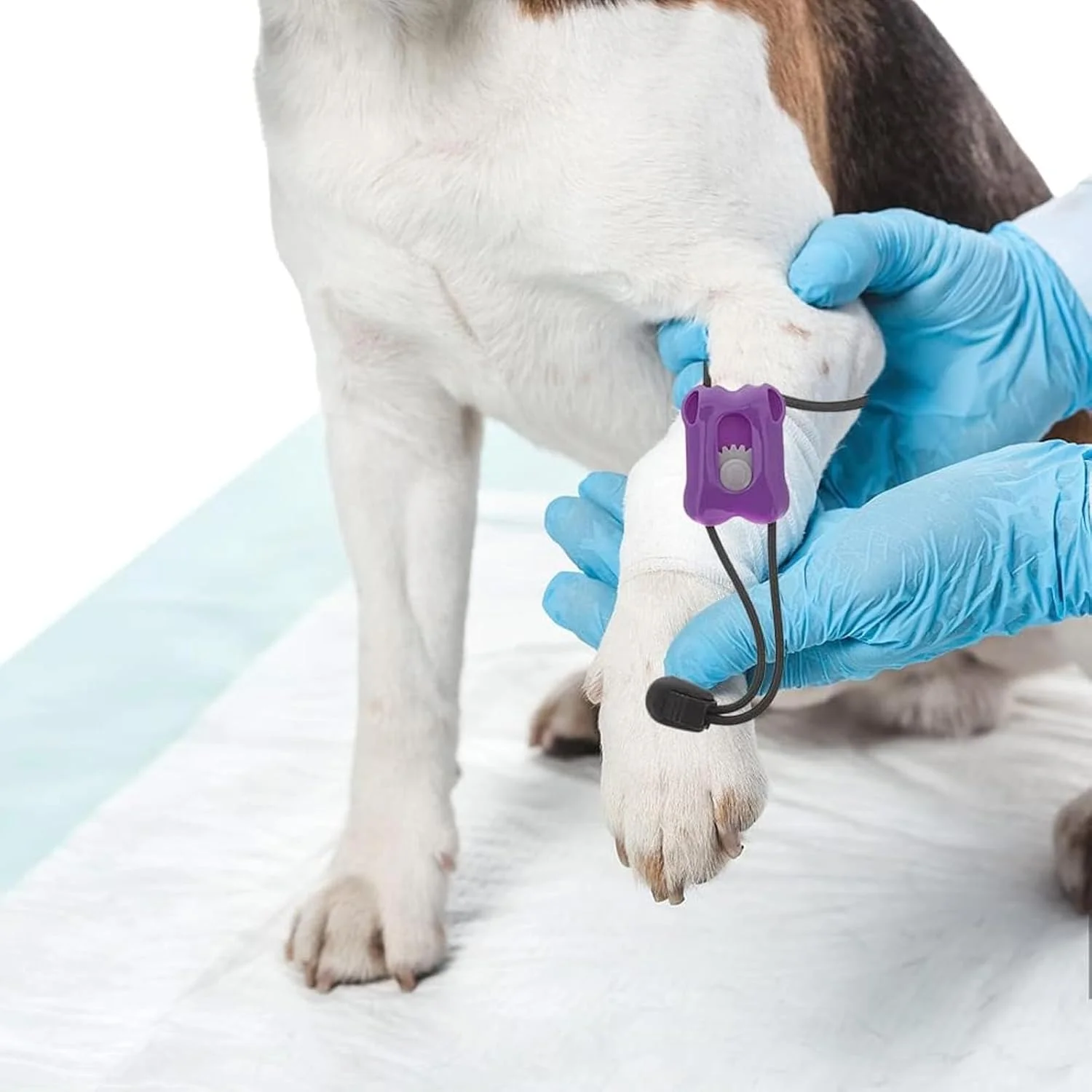 Pet Wrap Bandage - Elastic Aid Tourniquet | Bleeding Control Portable Instant Quick Release Bandages for Veterinary Pet Cat Home Travel Injury Dog Wound