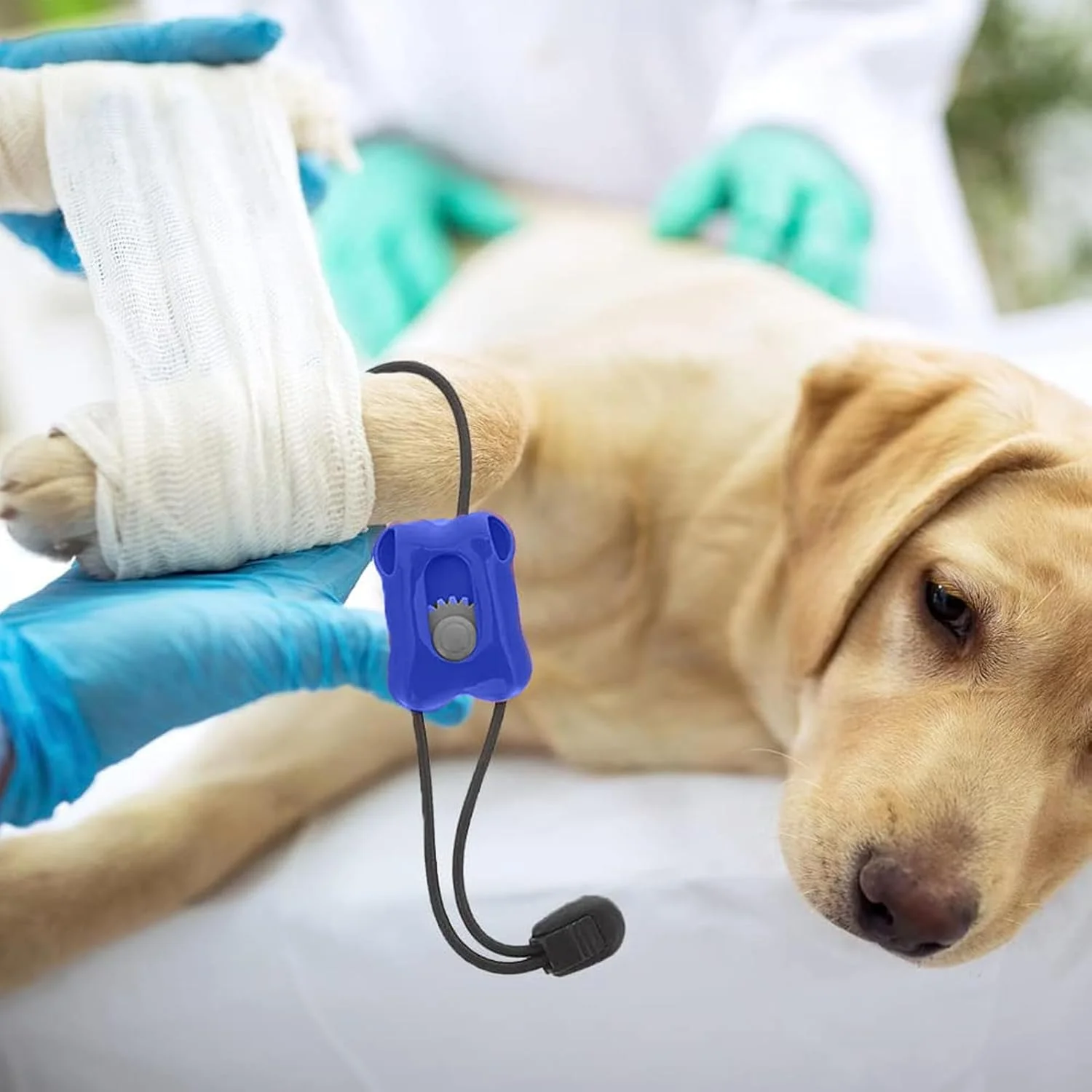 بانداژ حیوانات خانگی برای سگ ها - بندهای فشاری ورزشی با رهاسازی سریع - بانداژهای قابل حمل با رهاسازی سریع برای کنترل فوری خونریزی در منزل، مسافرت، دامپزشکی، مناسب برای زخم سگ و گربه