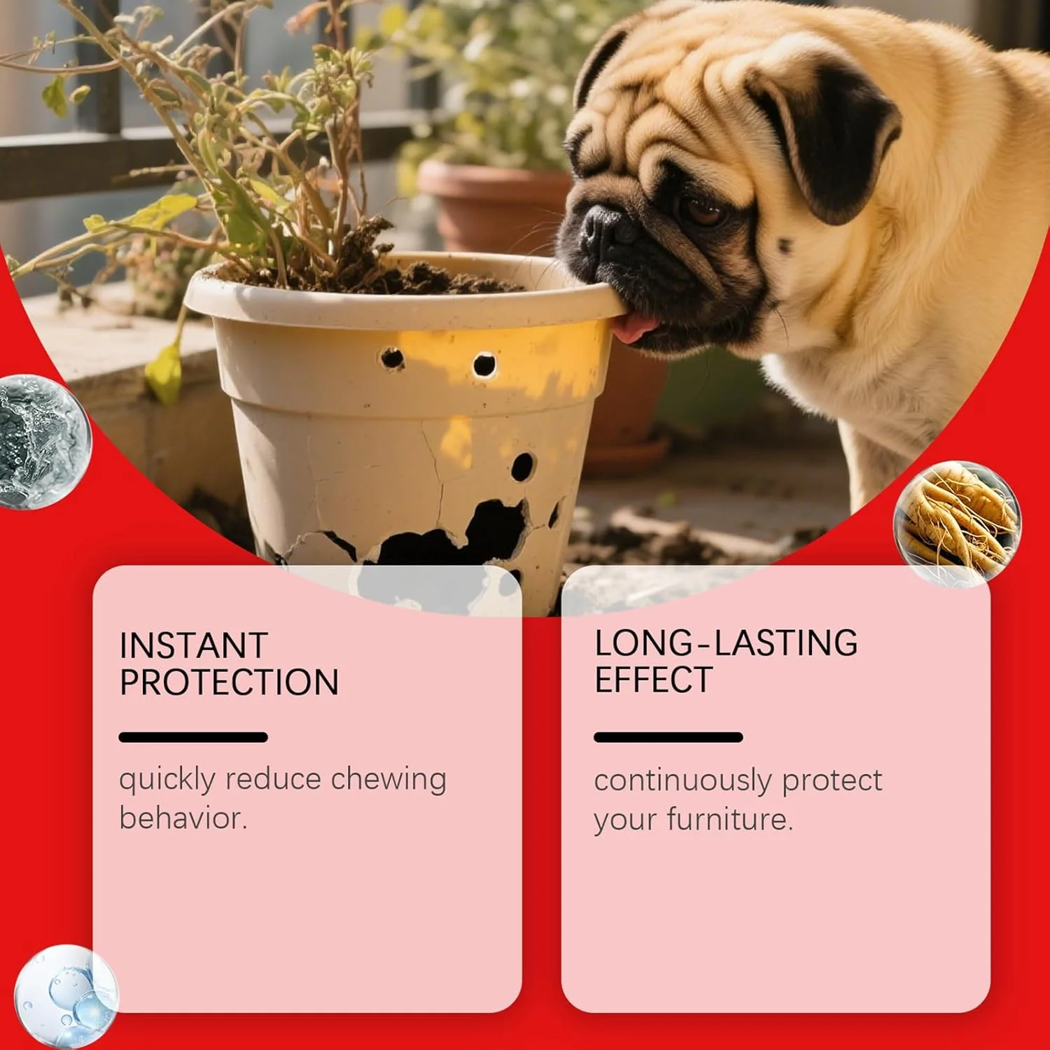 اسپری ضد جویدن سگ - اسپری 100 میلی لیتری برای جلوگیری از جویدن سگ، کمک کننده رفتاری تلخ برای حیوانات خانگی برای اصلاح گاز گرفتن و جلوگیری از لیسیدن