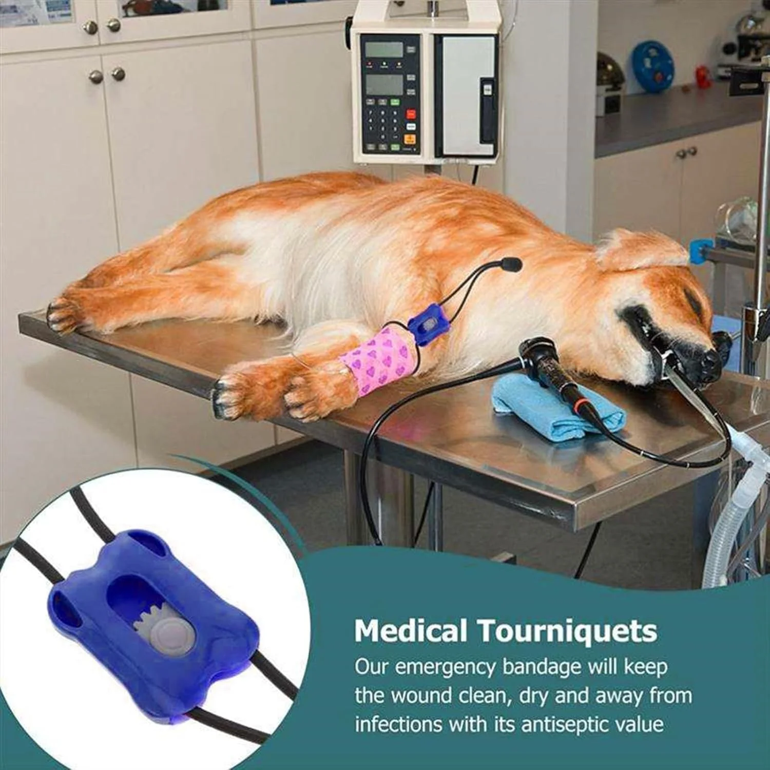 کیت بند آورنده خون حیوانات خانگی | بند آورنده خون ورزشی با رهاسازی سریع - کنترل فوری خونریزی، بانداژ قابل حمل برای آسیب های خانگی، زخم حیوانات خانگی، دامپزشکی، سگ، مسافرت کیت بند آورنده خون حیوانات خانگی | بند آورنده خون ورزشی با رهاسازی سریع - کنترل فوری خونریزی، بانداژ قابل حمل برای آسیب های خانگی، زخم حیوانات خانگی، دامپزشکی، سگ، مسافرت
