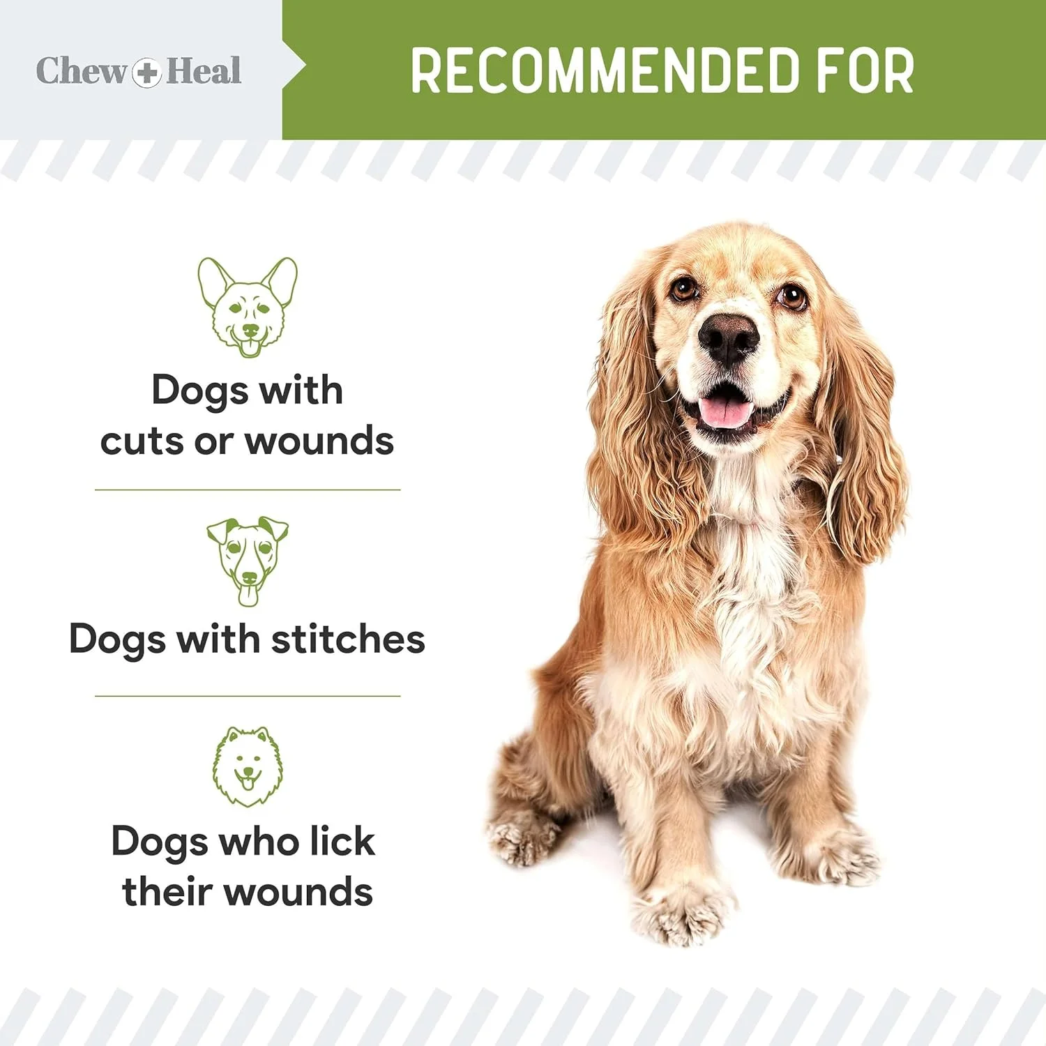 اسپری بانداژ مایع سگ Chew + Heal Labs - ۱۱۸ میلی لیتر حاوی آلوئه ورا - مراقبت از زخم سگ شامل بریدگی، خراش و بخیه - ضد آب و دارای قابلیت تنفس اسپری بانداژ مایع سگ Chew + Heal Labs - ۱۱۸ میلی لیتر حاوی آلوئه ورا - مراقبت از زخم سگ شامل بریدگی، خراش و بخیه - ضد آب و دارای قابلیت تنفس