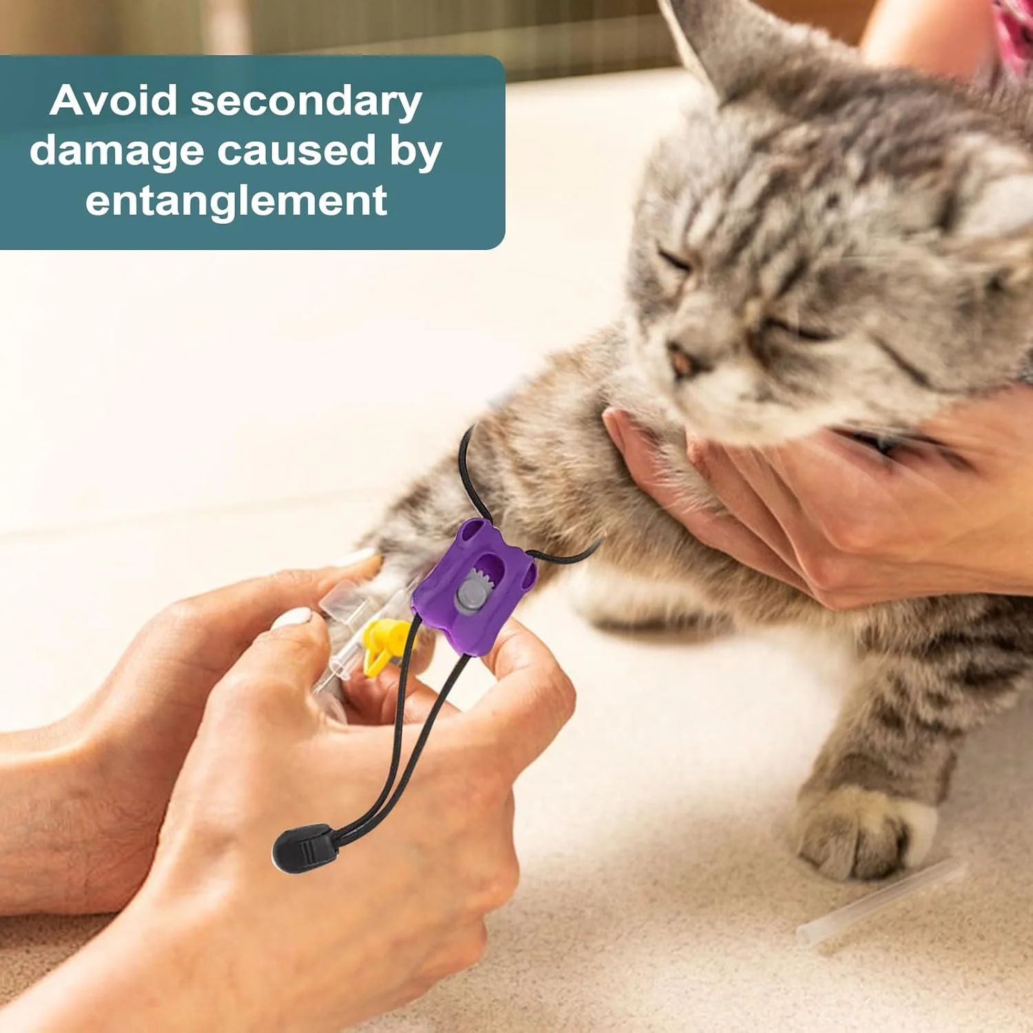 بندِ بستِ خون برای گربه، بندِ بستِ خون الاستیکی - کنترل خونریزی قابل حمل با رهاسازی سریع فوری برای حیوانات خانگی دامپزشکی گربه آسیب دیدگی سگ زخم بندِ بستِ خون برای گربه، بندِ بستِ خون الاستیکی - کنترل خونریزی قابل حمل با رهاسازی سریع فوری برای حیوانات خانگی دامپزشکی گربه آسیب دیدگی سگ زخم