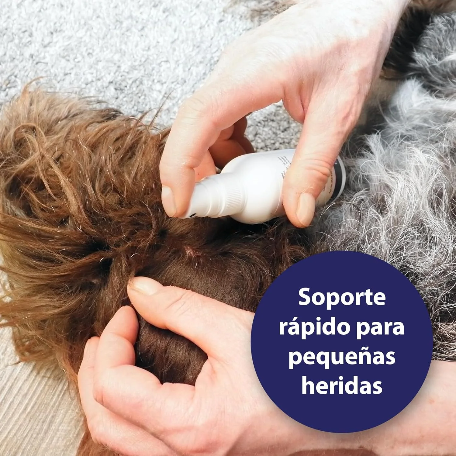 اسپری زخم کانوسپت (۷۵ میلی لیتر) اسپری زخم کانوسپت (۷۵ میلی لیتر)