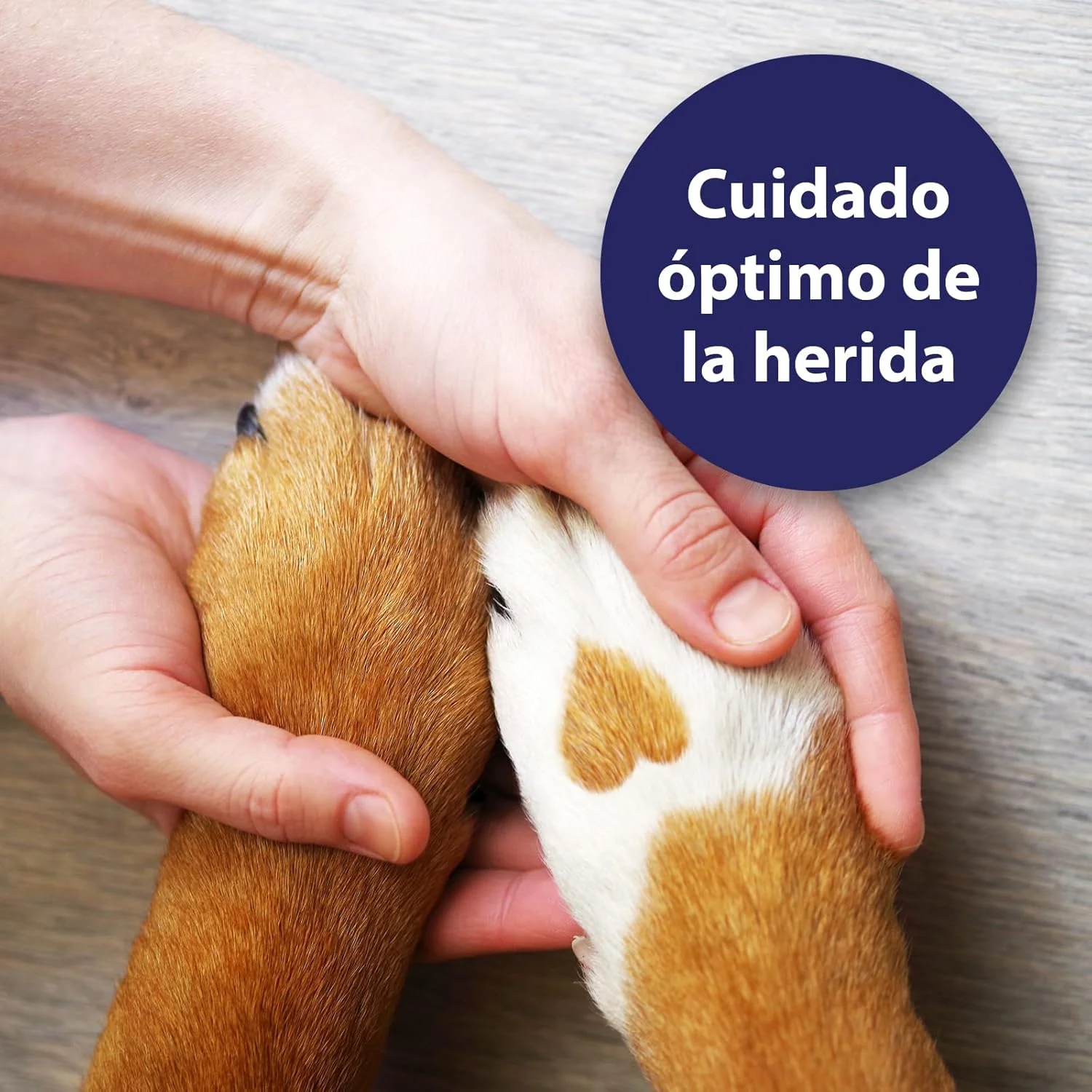 اسپری زخم کانوسپت (۷۵ میلی لیتر) اسپری زخم کانوسپت (۷۵ میلی لیتر)