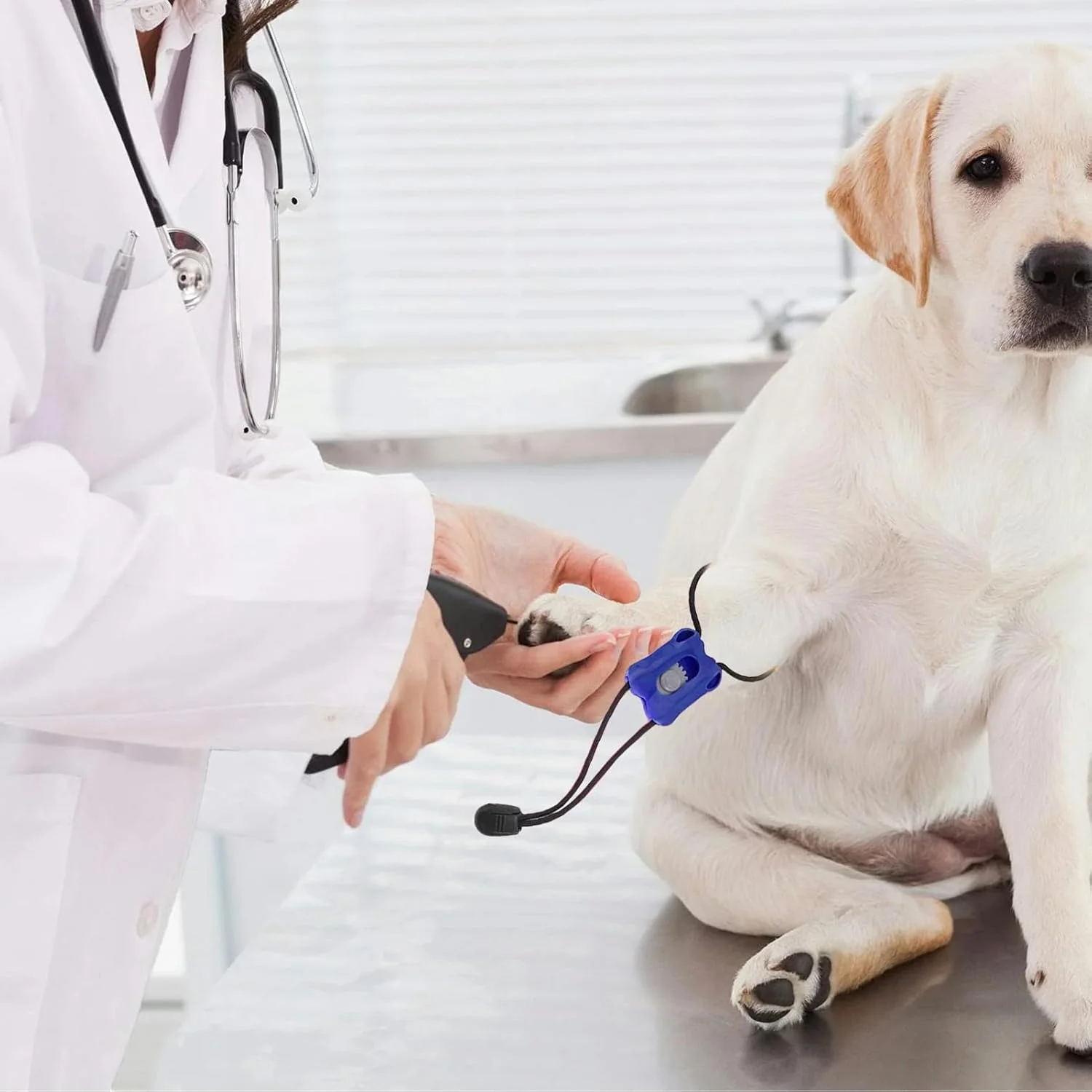 بندِ خونبند برای گربه | بندِ خونبند الاستیکی | بانداژ قابل حمل با رهاسازی سریع برای کنترل خونریزی فوری برای زخم خانگی حیوانات خانگی سگ و گربه، مسافرت، آسیب دامپزشکی بندِ خونبند برای گربه | بندِ خونبند الاستیکی | بانداژ قابل حمل با رهاسازی سریع برای کنترل خونریزی فوری برای زخم خانگی حیوانات خانگی سگ و گربه، مسافرت، آسیب دامپزشکی