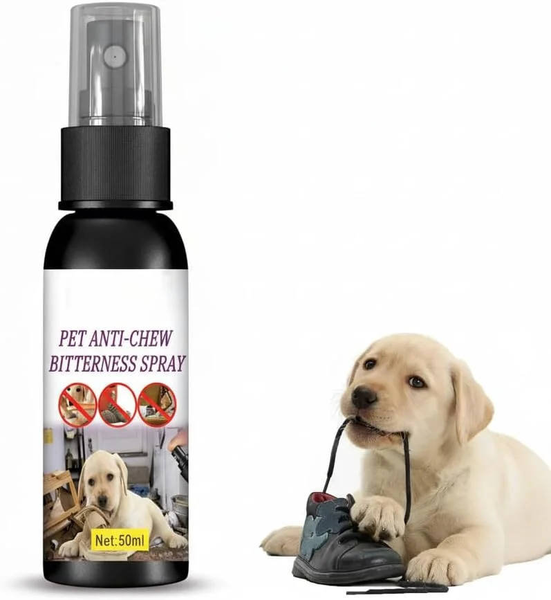 اسپری ضد جویدن Aoznee برای سگ ها، اسپری سیب تلخ برای سگ ها، جلوگیری از جویدن و لیسیدن مبلمان، کفش، بانداژ، گیاه، بدون الکل، اسپری کمک های آموزشی و رفتاری سگ، داخل و خارج از منزل اسپری ضد جویدن Aoznee برای سگ ها، اسپری سیب تلخ برای سگ ها، جلوگیری از جویدن و لیسیدن مبلمان، کفش، بانداژ، گیاه، بدون الکل، اسپری کمک های آموزشی و رفتاری سگ، داخل و خارج از منزل