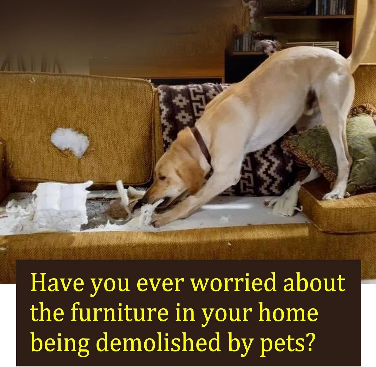 اسپری ضد جویدن Aoznee برای سگ ها، اسپری سیب تلخ برای سگ ها، جلوگیری از جویدن و لیسیدن مبلمان، کفش، بانداژ، گیاه، بدون الکل، اسپری کمک های آموزشی و رفتاری سگ، داخل و خارج از منزل اسپری ضد جویدن Aoznee برای سگ ها، اسپری سیب تلخ برای سگ ها، جلوگیری از جویدن و لیسیدن مبلمان، کفش، بانداژ، گیاه، بدون الکل، اسپری کمک های آموزشی و رفتاری سگ، داخل و خارج از منزل