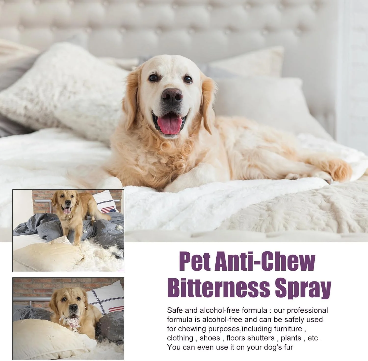 اسپری ضد جویدن Aoznee برای سگ ها، اسپری سیب تلخ برای سگ ها، جلوگیری از جویدن و لیسیدن مبلمان، کفش، بانداژ، گیاه، بدون الکل، اسپری کمک های آموزشی و رفتاری سگ، داخل و خارج از منزل اسپری ضد جویدن Aoznee برای سگ ها، اسپری سیب تلخ برای سگ ها، جلوگیری از جویدن و لیسیدن مبلمان، کفش، بانداژ، گیاه، بدون الکل، اسپری کمک های آموزشی و رفتاری سگ، داخل و خارج از منزل