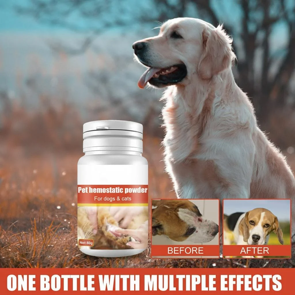 پودر بندآورنده خون آزونی برای حیوانات خانگی، پودر مراقبت از زخم برای حیوانات خانگی، پودر تسکین دهنده پوست زخم ضد آب برای سگ، گربه، پرندگان، پودر دارویی موضعی سریع الاثر برای بریدگی حیوانات خانگی پودر بندآورنده خون آزونی برای حیوانات خانگی، پودر مراقبت از زخم برای حیوانات خانگی، پودر تسکین دهنده پوست زخم ضد آب برای سگ، گربه، پرندگان، پودر دارویی موضعی سریع الاثر برای بریدگی حیوانات خانگی