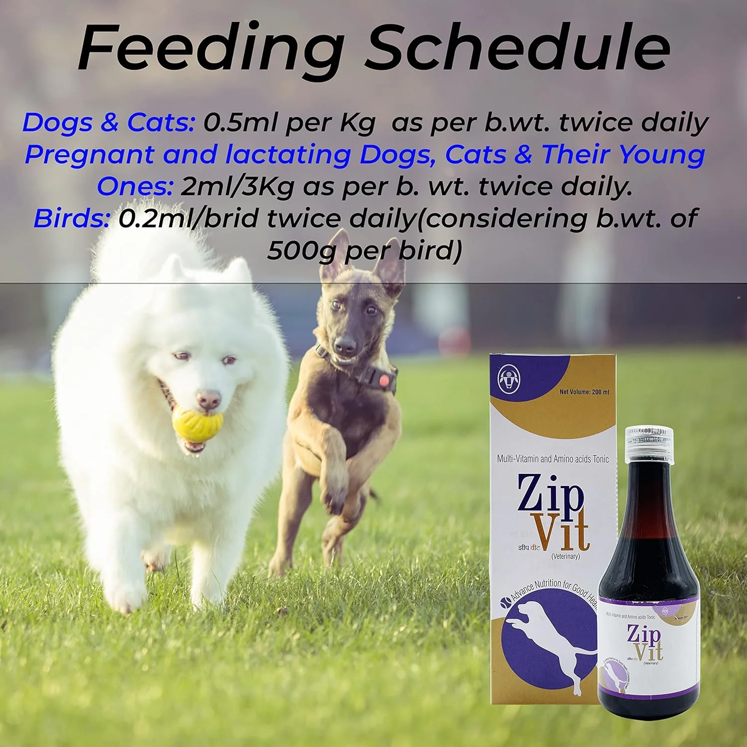 مولتی ویتامین ALP ZipVit برای سگ ها | مکمل اسید آمینه و ویتامین سگ | تقویت کننده سیستم ایمنی و تحریک کننده اشتها برای سگ ها و گربه ها (بسته 1 عددی)