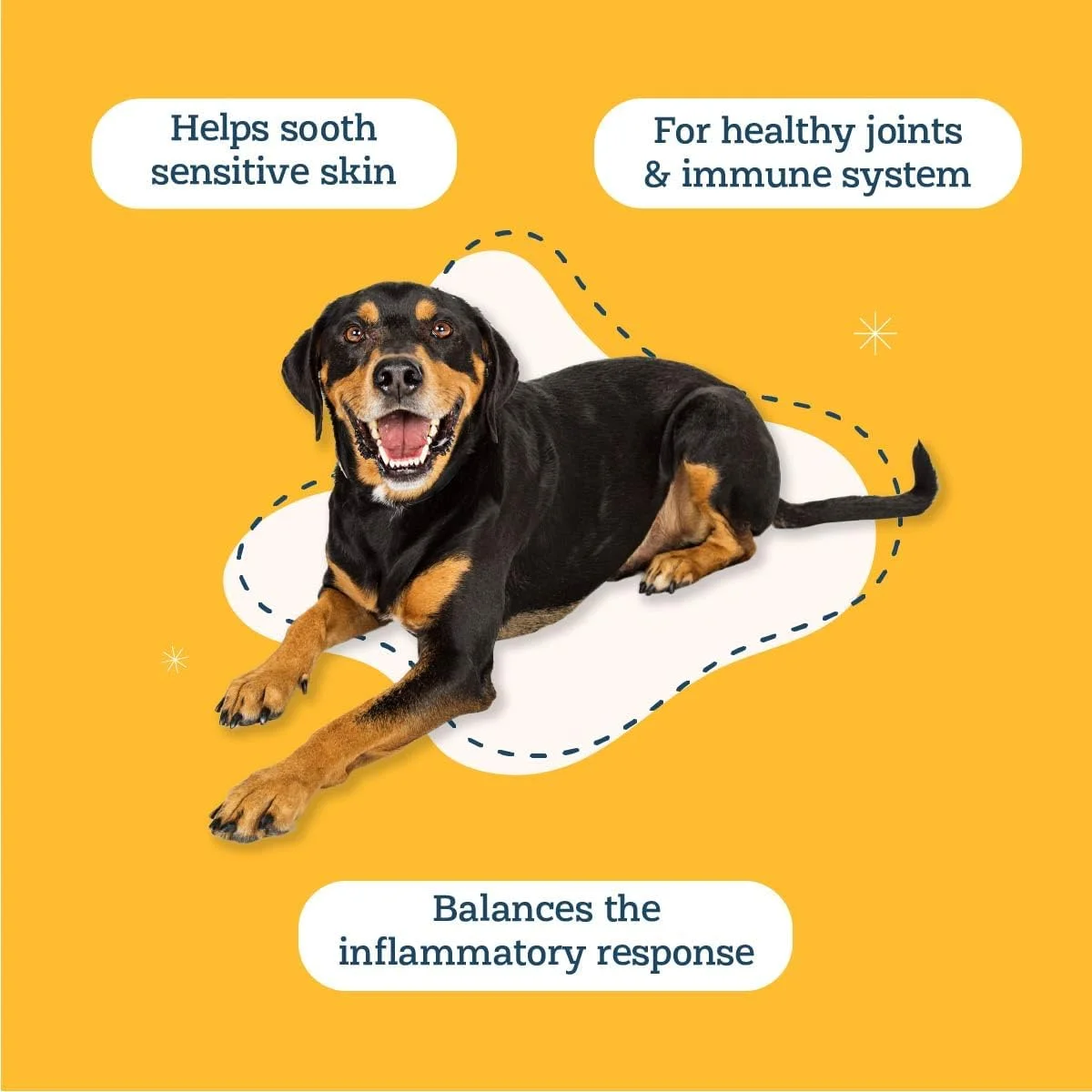 آلیس و الی - محصولی برای حمایت از پوست در برابر آلرژی های فصلی حاوی کوئرستین و آغوز گاوی - مناسب برای سگ های با پوست حساس یا آلرژی های محیطی