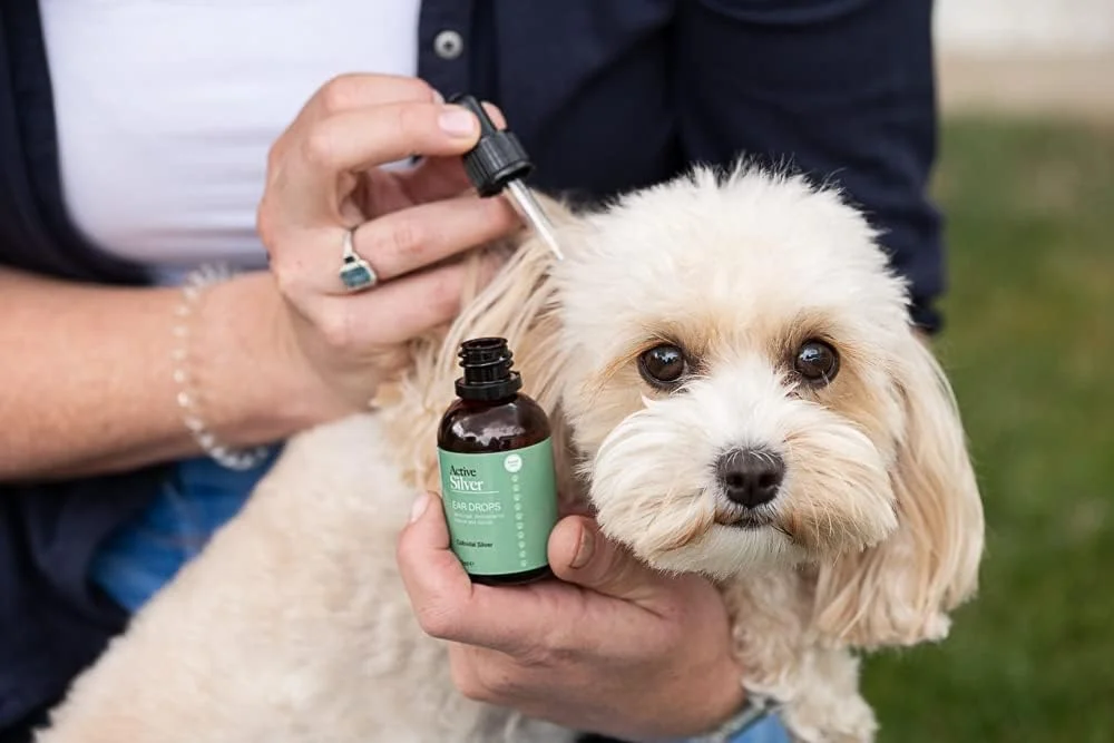 مراقبت از حیوانات با نقره فعال، نقره کلوئیدی ممتاز 25ppm برای مراقبت از حیوانات خانگی، بطری قطره چکان (50 میلی لیتر)