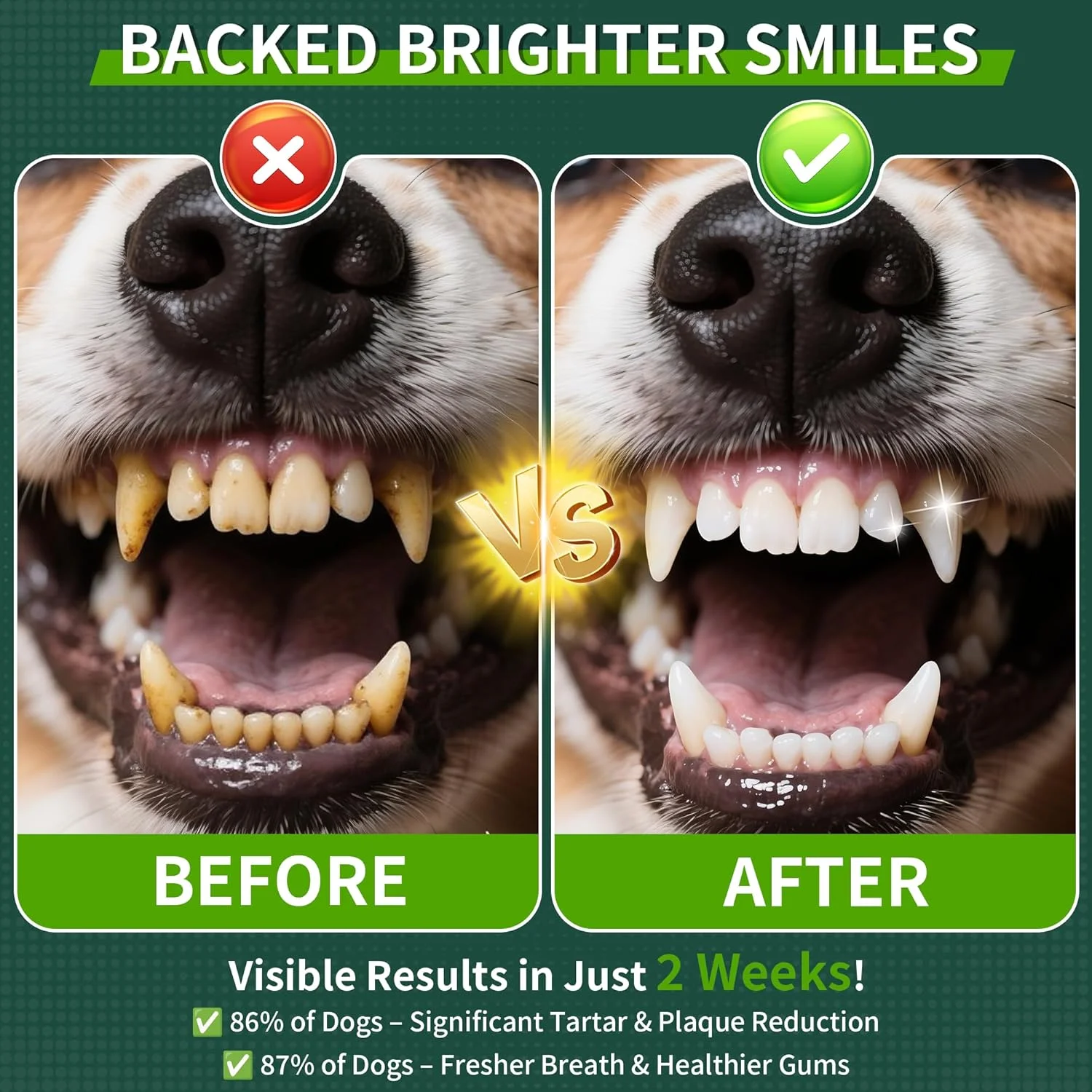 پودر دندان سگ، پودر تمیز کننده دندان سگ با ترکیبات گیاهی طبیعی و پروبیوتیک، پودر دندان برای دندان های سگ، هدف قرار دادن جرم و کاهش پلاک و بوی بد دهان برای سگ ها و گربه ها، نعناع - 150 گرم