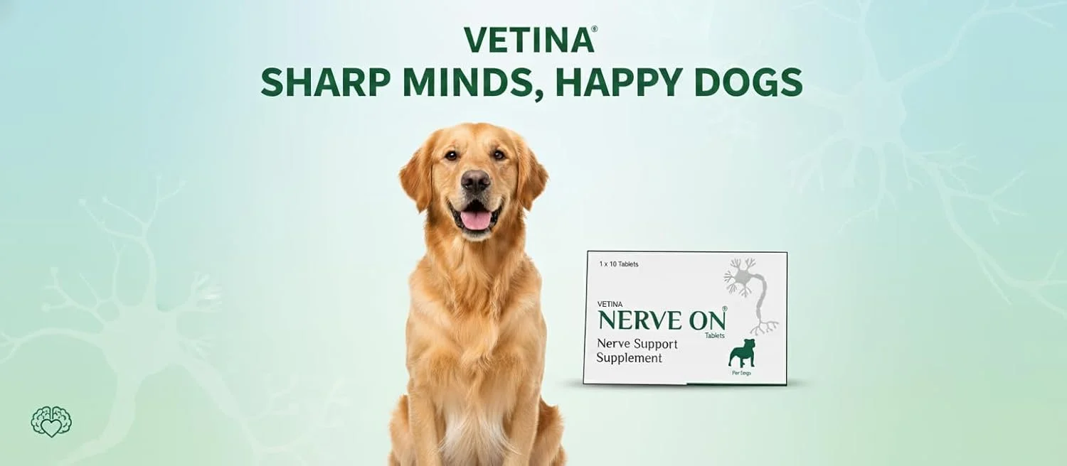 مکمل پشتیبانی عصبی وتینا NerveOn Verve برای سگ ها، کمک به آسیب عصبی و اختلالات عصبی، 30 قرص (بسته 2 عددی)
