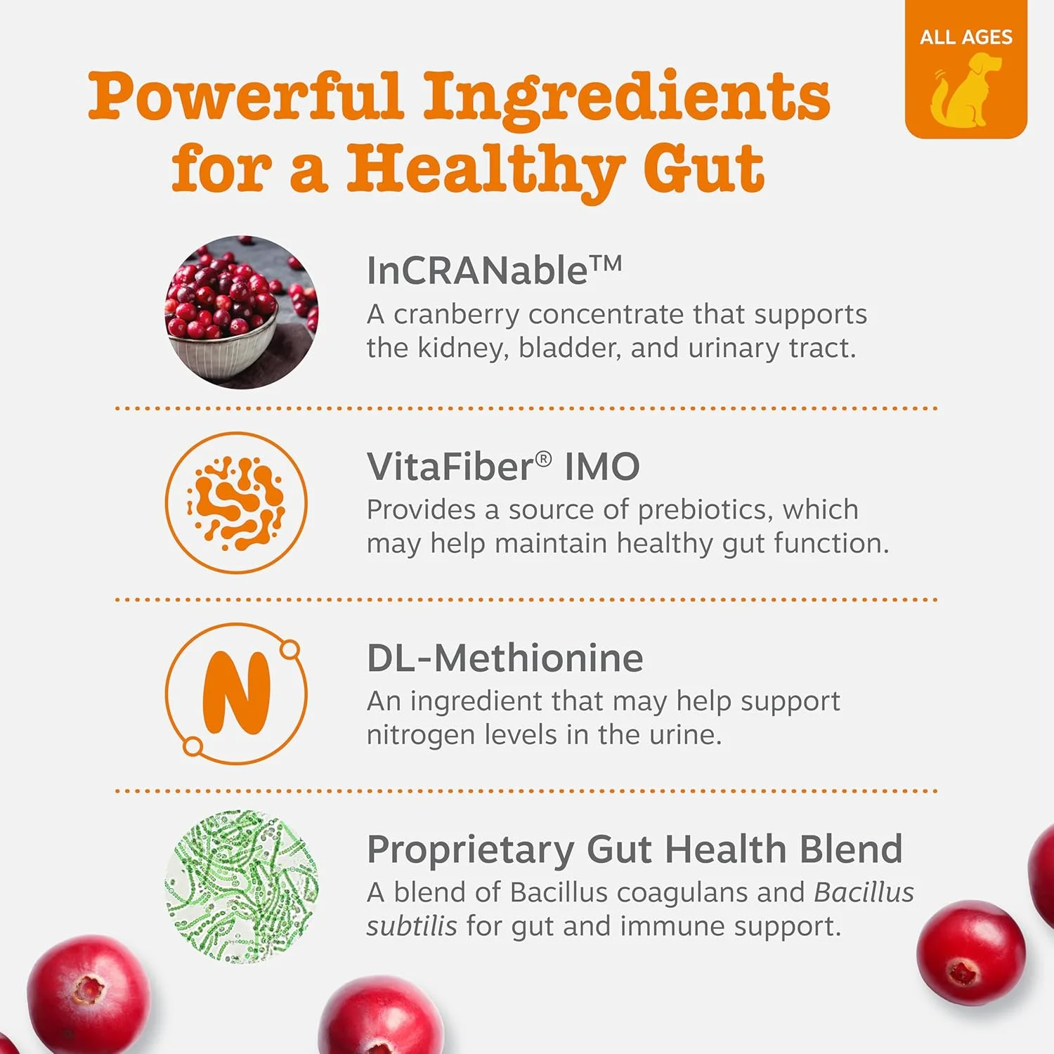 تشویقی نرم Zesty Paws Stay Green Bites برای سگ ها - تشویقی های جویدنی نرم برای لکه های ناشی از ادرار سگ - با کرن بری برای مجاری ادراری و مثانه - طعم گوشت گاو - 90 عدد