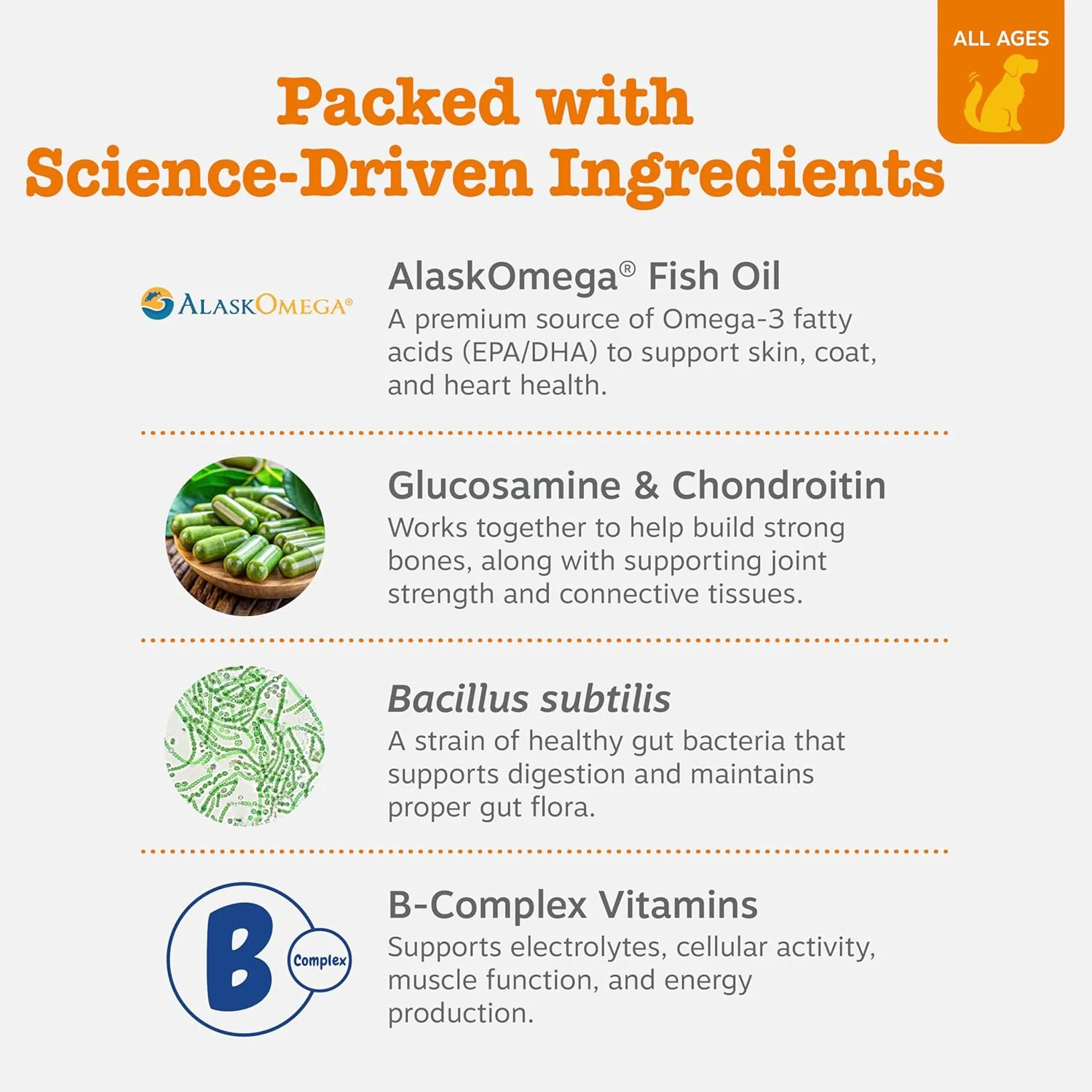 تشویقی مولتی ویتامین سگ زستی پاوز - گلوکوزامین کندرویتین برای پشتیبانی از مفاصل + آنزیم های گوارشی و پروبیوتیک ها - ویتامین سگ بدون غلات برای پوست و مو + سلامت سیستم ایمنی