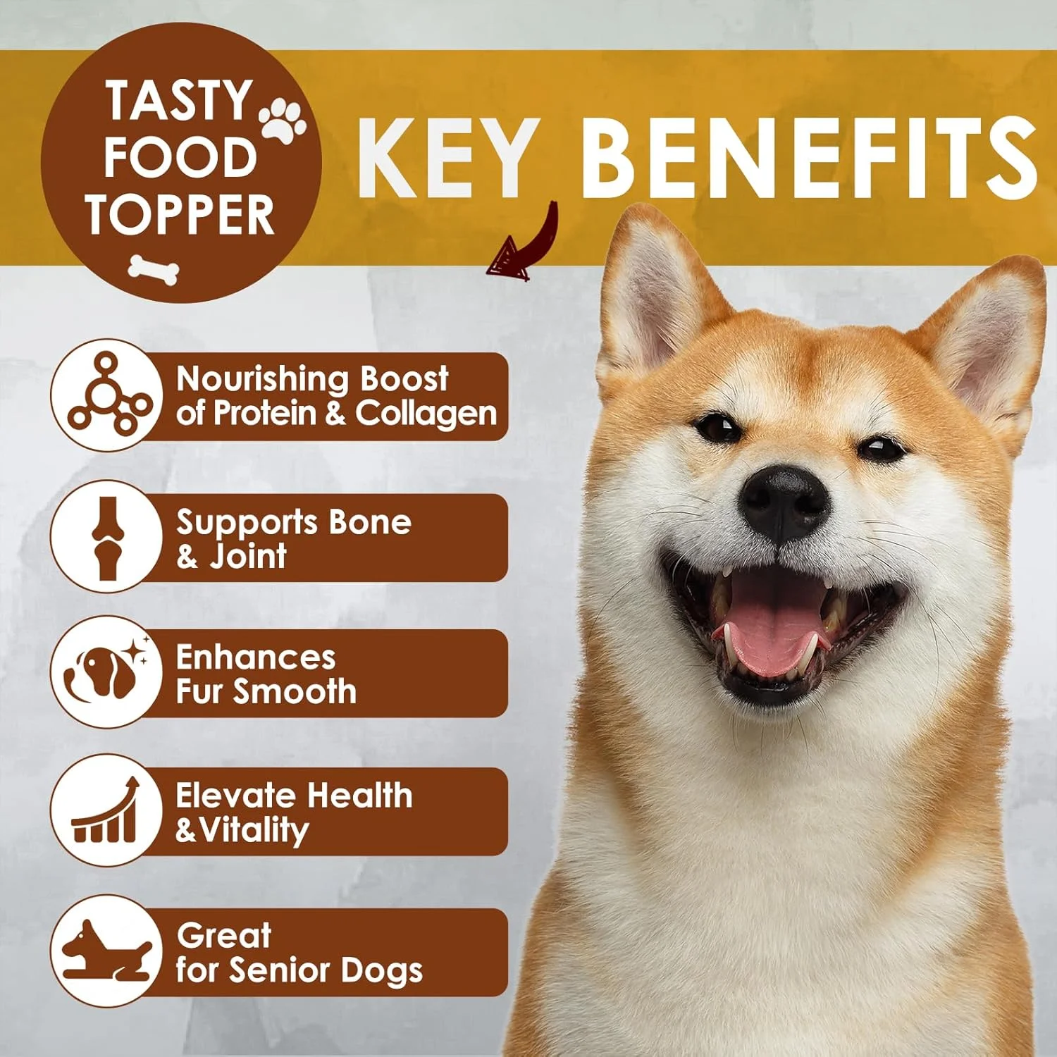 پودر پروتئین آب قلم استخوان گاو تغذیه شده با علف Zammex برای سگ و گربه - پشتیبانی از مفاصل و استخوان ها، تقویت کننده پوشش سالم، مکمل غذای حیوانات خانگی برای غذای خشک و مرطوب، 300 گرم