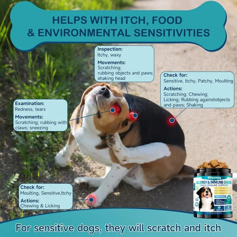 ۲۰۰ عدد تشویقی رفع حساسیت سگ برای تسکین خارش پوست، ضد خارش گوش و پنجه سگ، تسکین خارش پوست سگ برای حساسیت فصلی، روغن ماهی امگا ۳، زردچوبه و آغوز برای تقویت سیستم ایمنی