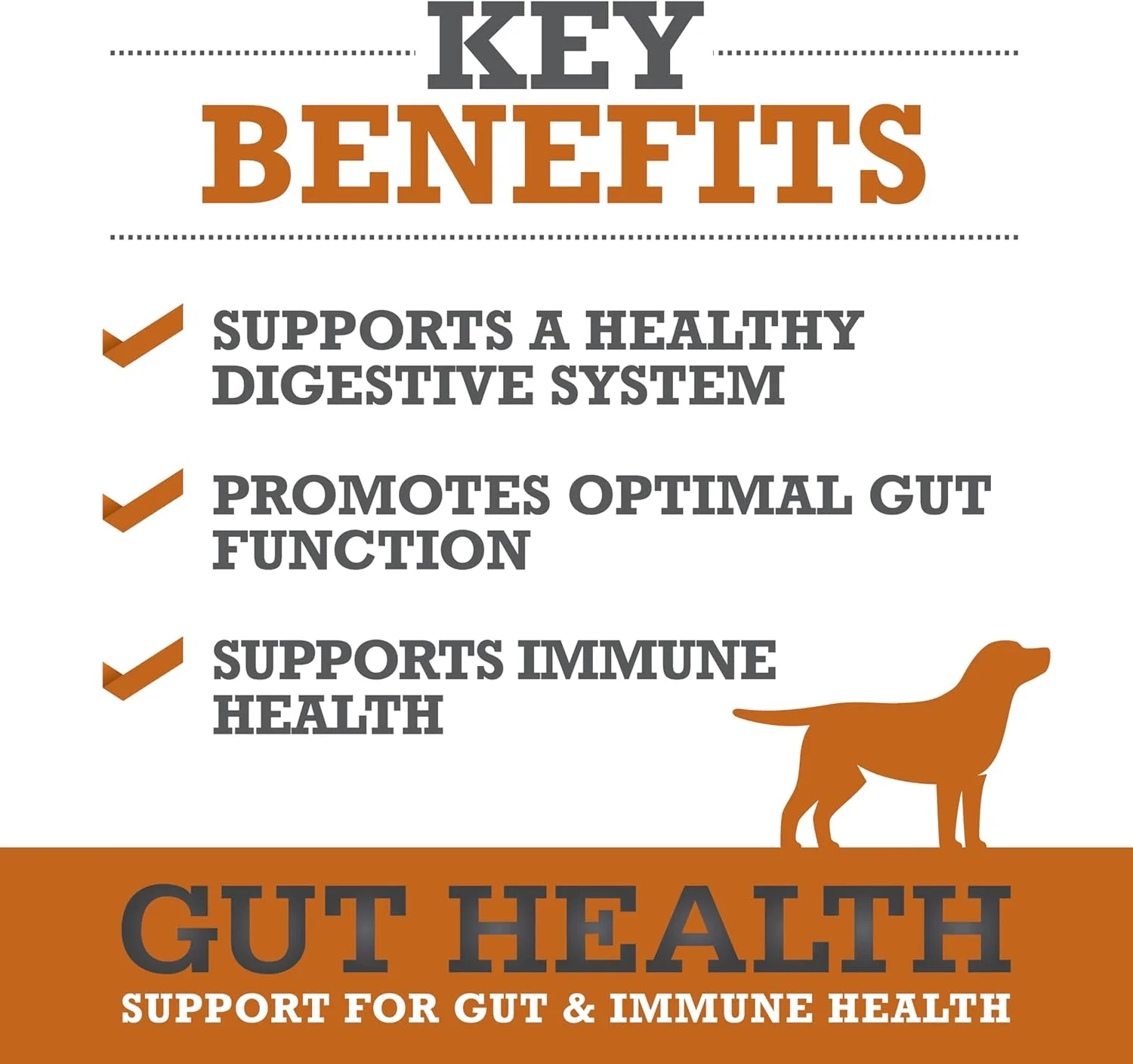 WINPRO | مکمل سلامت روده سگ، جویدنی های تقویت شده با پلاسما برای سلامت دستگاه گوارش، حمایت سریع از سیستم ایمنی در سگ ها از همه نژادها و اندازه ها، 60 عدد، ساخت ایالات متحده آمریکا