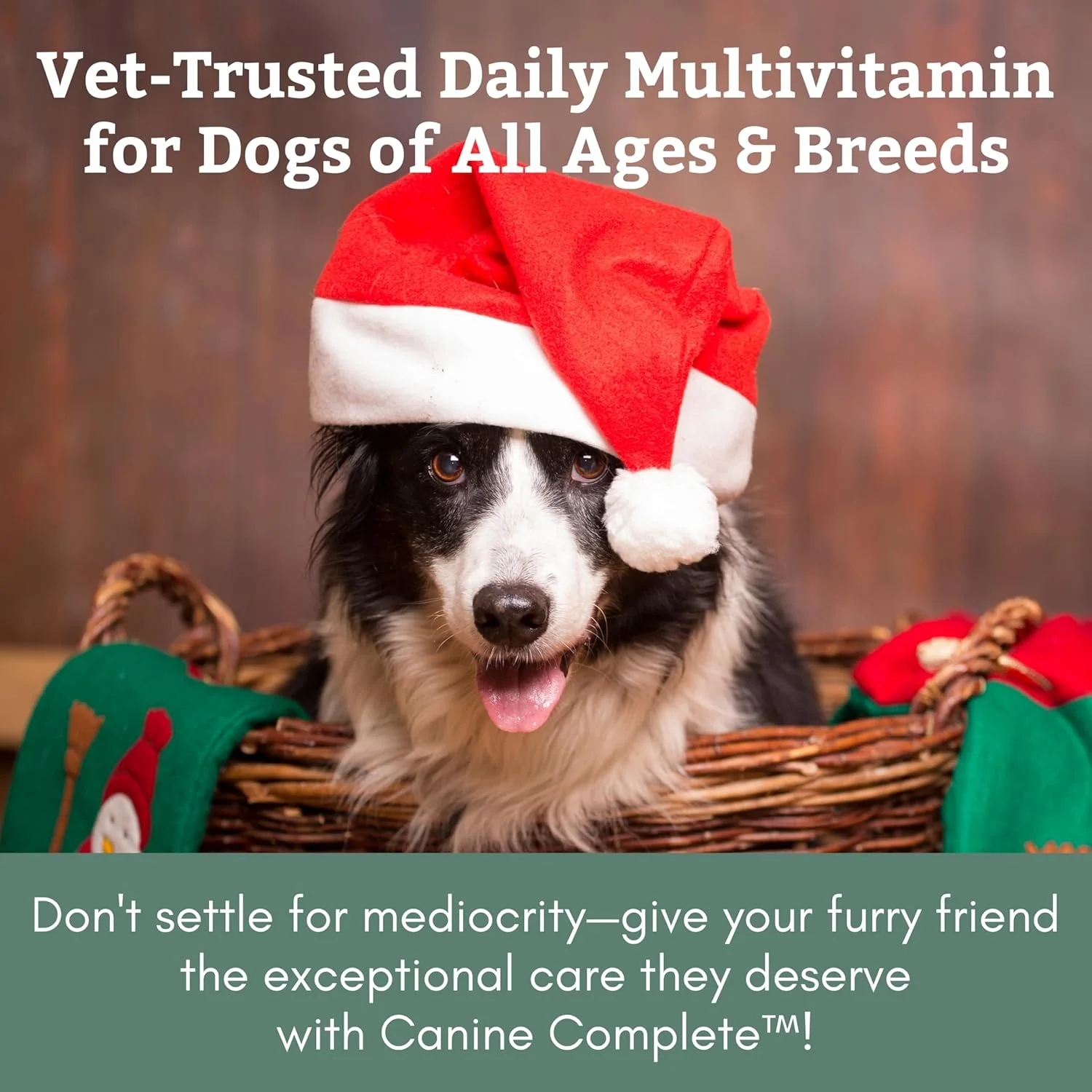 مولتی ویتامین کامل سگ ارگانیک Wholistic Pet - 900 گرم - مولتی ویتامین ها و مکمل های غنی از مواد مغذی - پودر غذای کامل برای سیستم ایمنی، پوست، پوشش و سلامت کلی