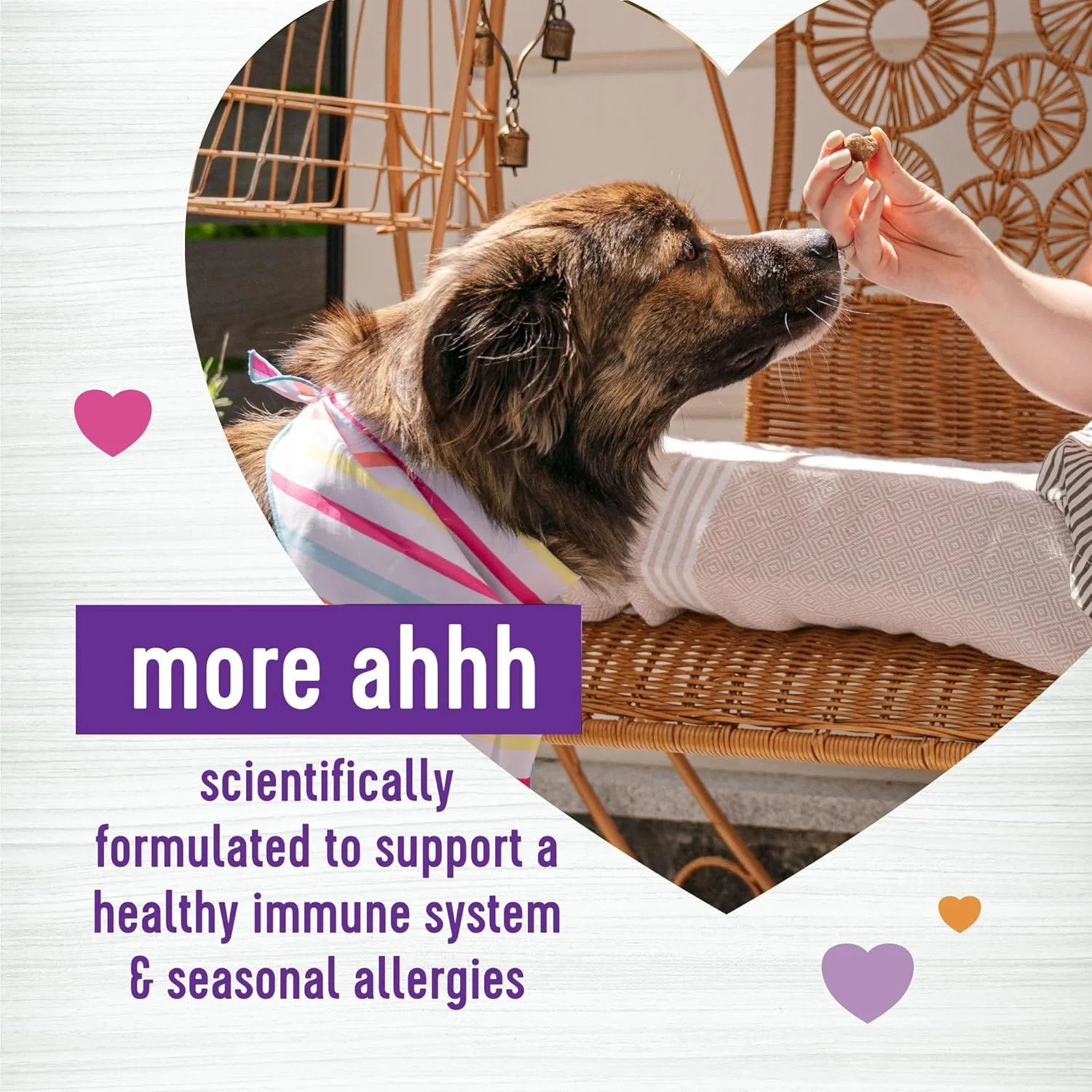 تشویقی نرم طعم ماهی سالمون برای تقویت سیستم ایمنی و ضد حساسیت سگ ها، 45 عدد