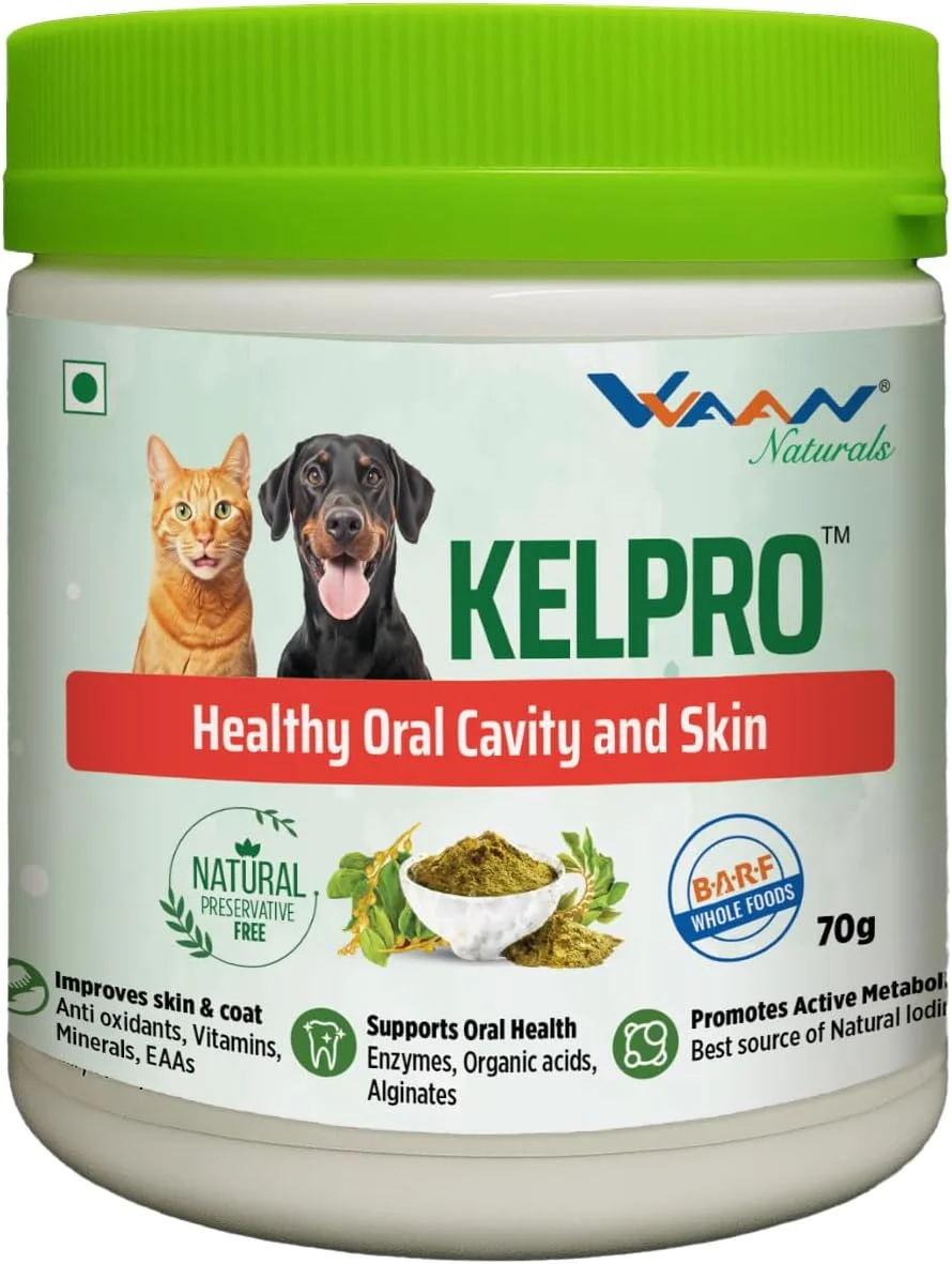 مکمل مراقبت دهانی VVAAN Kelpro برای سگ و گربه، 70 گرم، پلاک دندان، جرم دندان، بوی بد دهان