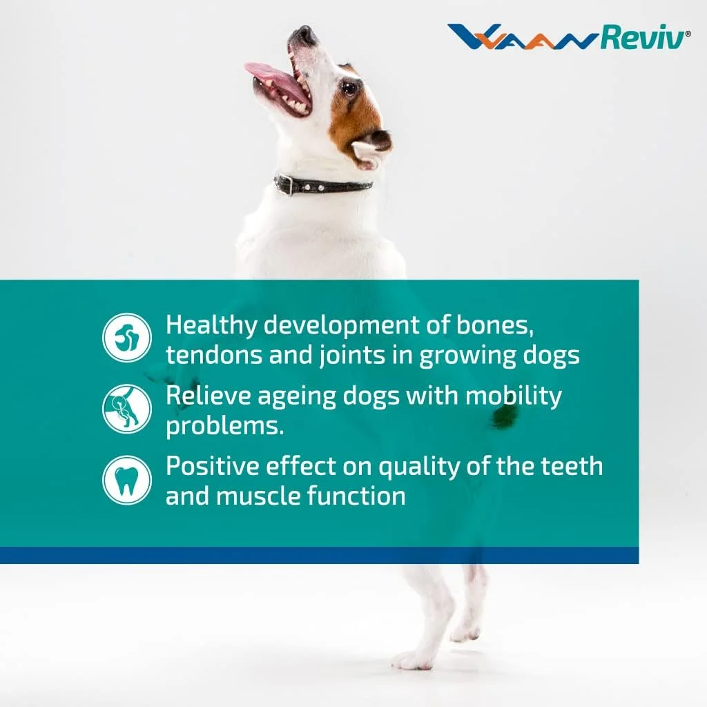 مکمل های سگ Vvaan - Cal and Col - قرص های کلسیم و کلاژن (40 عدد)(بسته 1 عددی)