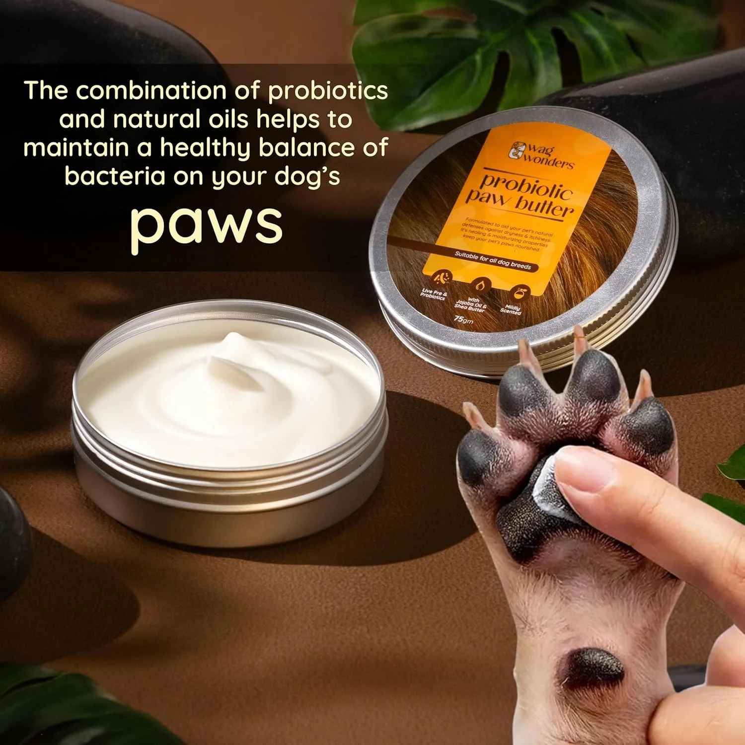 کره پنجه پروبیوتیک 75 گرمی برای سگ ها با روغن جوجوبا، شی باتر و موم زنبور عسل | کمک به بهبود، ترمیم و مرطوب کردن پنجه های ترک خورده