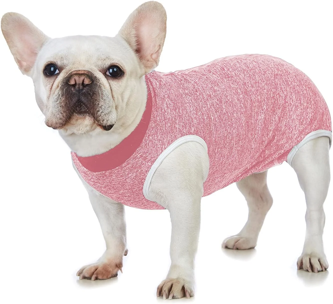 لباس نقاهت سگ و گربه بعد از عمل جراحی، لباس جراحی برای زخم های شکمی، لباس نقاهت برای سگ های نر و ماده، لباس نقاهت حیوانات خانگی بعد از جراحی، جلوگیری از لیسیدن لباس سگ، جایگزین یقه الیزابت لباس نقاهت سگ و گربه بعد از عمل جراحی، لباس جراحی برای زخم های شکمی، لباس نقاهت برای سگ های نر و ماده، لباس نقاهت حیوانات خانگی بعد از جراحی، جلوگیری از لیسیدن لباس سگ، جایگزین یقه الیزابت