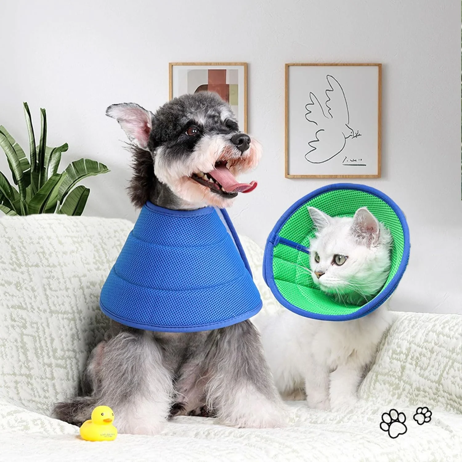 طوق گردنی نرم سگ برای بعد از جراحی، طوق تنفسی برای جلوگیری از لیسیدن، طوق گردنی قابل تنظیم برای حیوانات خانگی، مناسب برای سگ های کوچک با لبه محافظ نرم