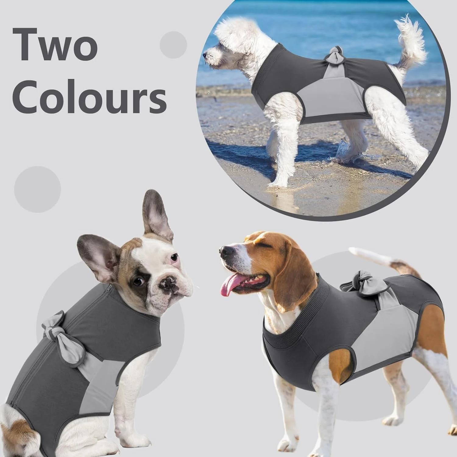 لباس نقاهت زیپ‌دار سگ ساومونگ، لباس جراحی سگ نخی و تنفسی مناسب حیوانات خانگی نر و ماده، لباس یکسره نخی برای جلوگیری از لیسیدن زخم، جایگزین قلاده و مخروطی گردن گربه (خاکستری، متوسط)