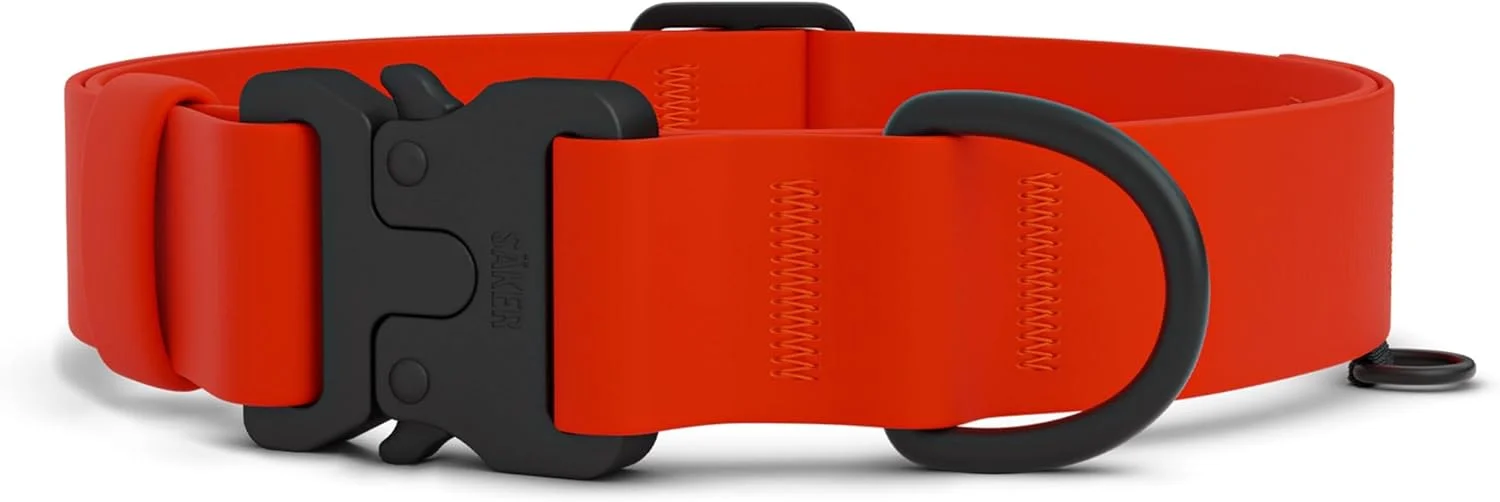 قلاده ضد آب سگ Säker - قلاده سگ سبک و قابل تنظیم برای سگ های بزرگ - قلاده سگ بزرگ بادوام 1 اینچی با حلقه D آلومینیومی، زنجیره دیزی و سگک رهاسازی سریع | قلاده سگ نارنجی