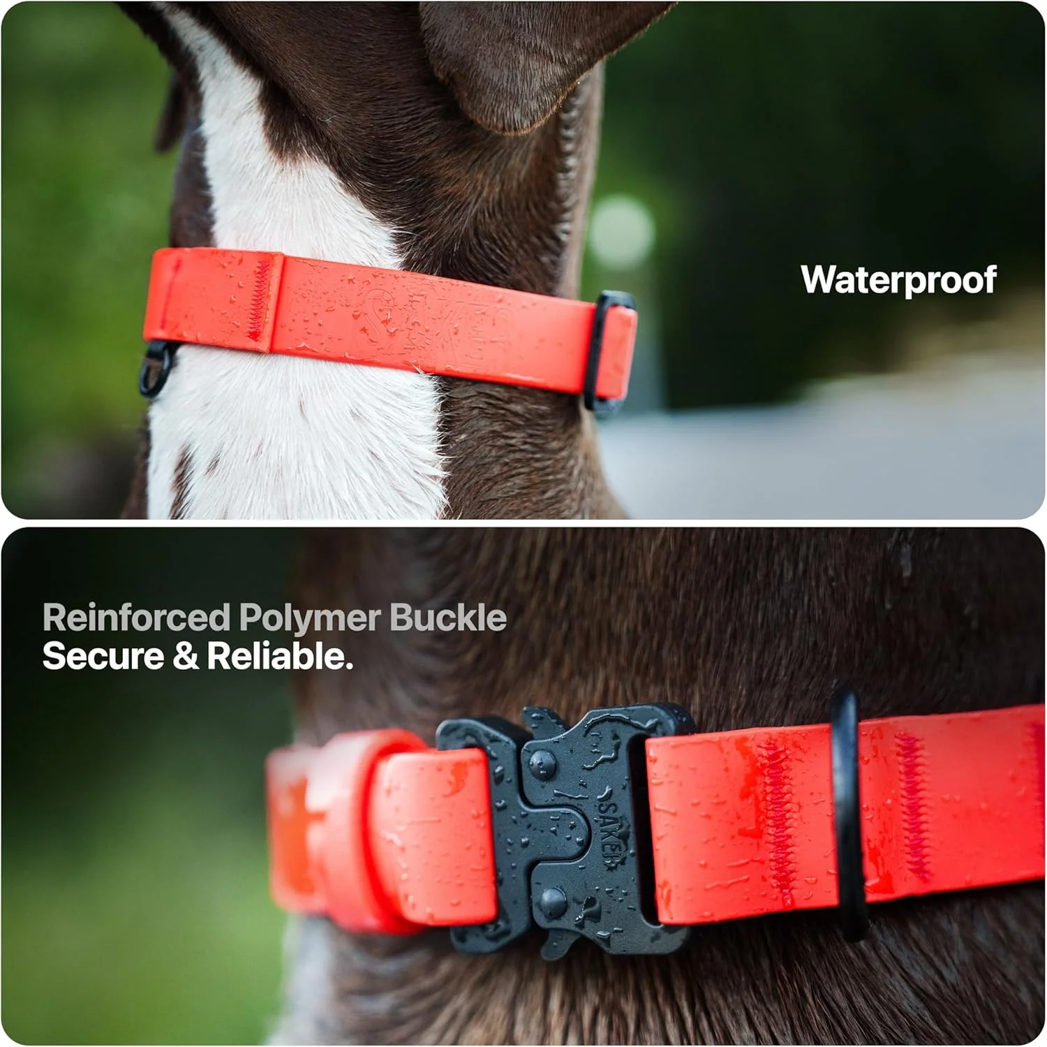 قلاده ضد آب سگ Säker - قلاده سگ سبک و قابل تنظیم برای سگ های بزرگ - قلاده سگ بزرگ بادوام 1 اینچی با حلقه D آلومینیومی، زنجیره دیزی و سگک رهاسازی سریع | قلاده سگ نارنجی قلاده ضد آب سگ Säker - قلاده سگ سبک و قابل تنظیم برای سگ های بزرگ - قلاده سگ بزرگ بادوام 1 اینچی با حلقه D آلومینیومی، زنجیره دیزی و سگک رهاسازی سریع | قلاده سگ نارنجی
