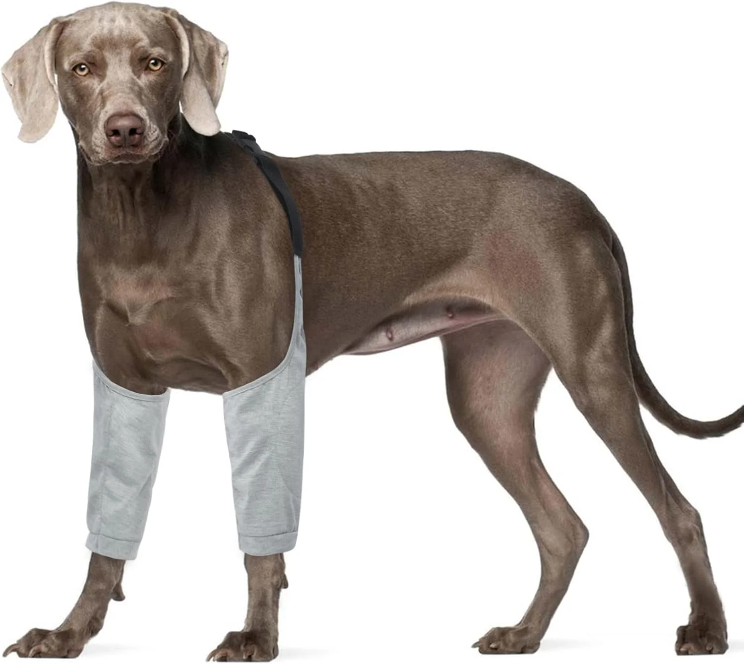 آستین بهبودی جراحی سگ ROZKITCH برای پاهای جلویی، محافظ آرنج زخم برای جلوگیری از لیسیدن حیوانات خانگی، آستین پا سگ جایگزین قلاده مخروطی برای رگ به رگ شدن ACL CCL آرتروز خاکستری 3XL